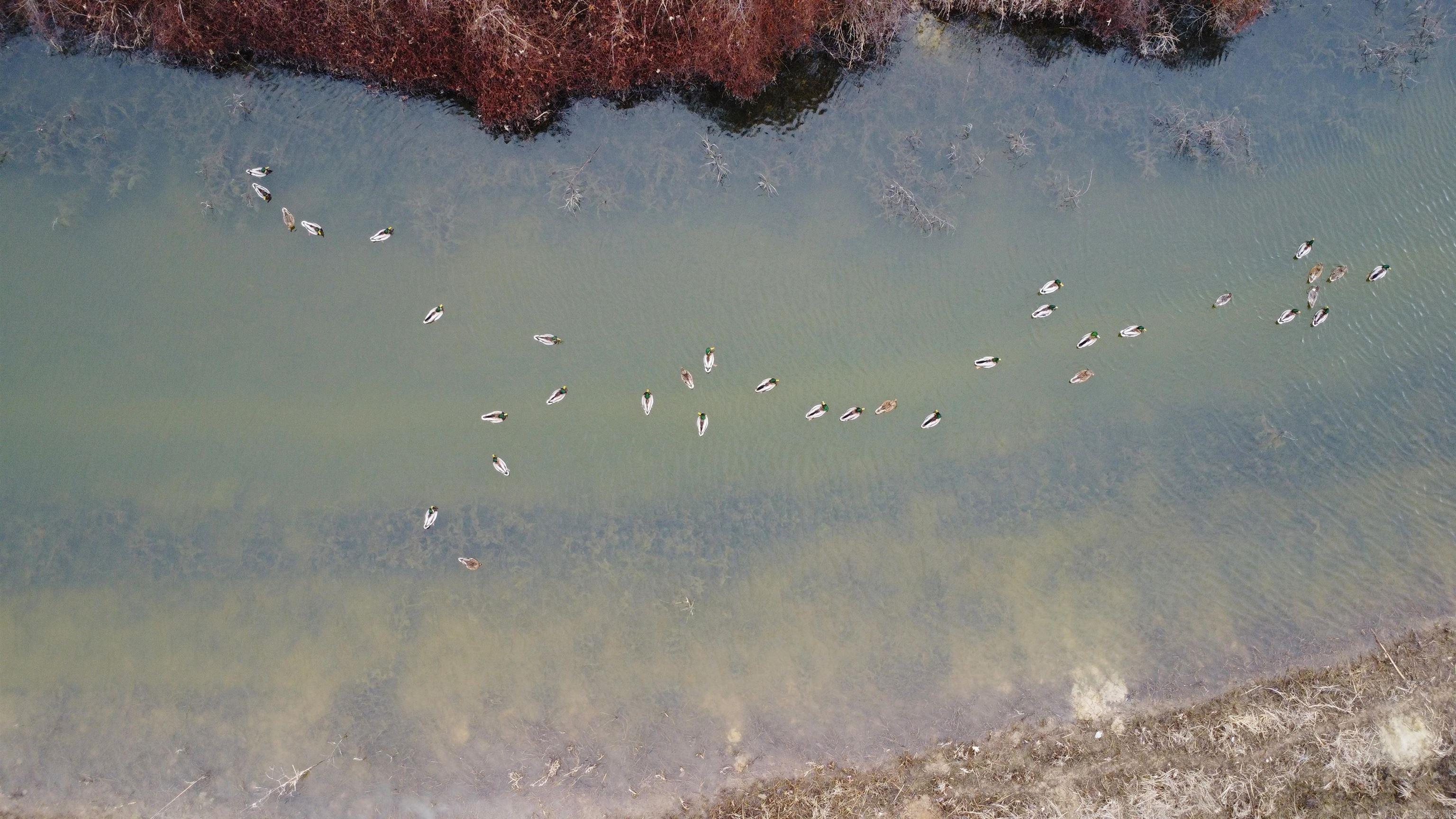 00 cr 242  Wynne, AR