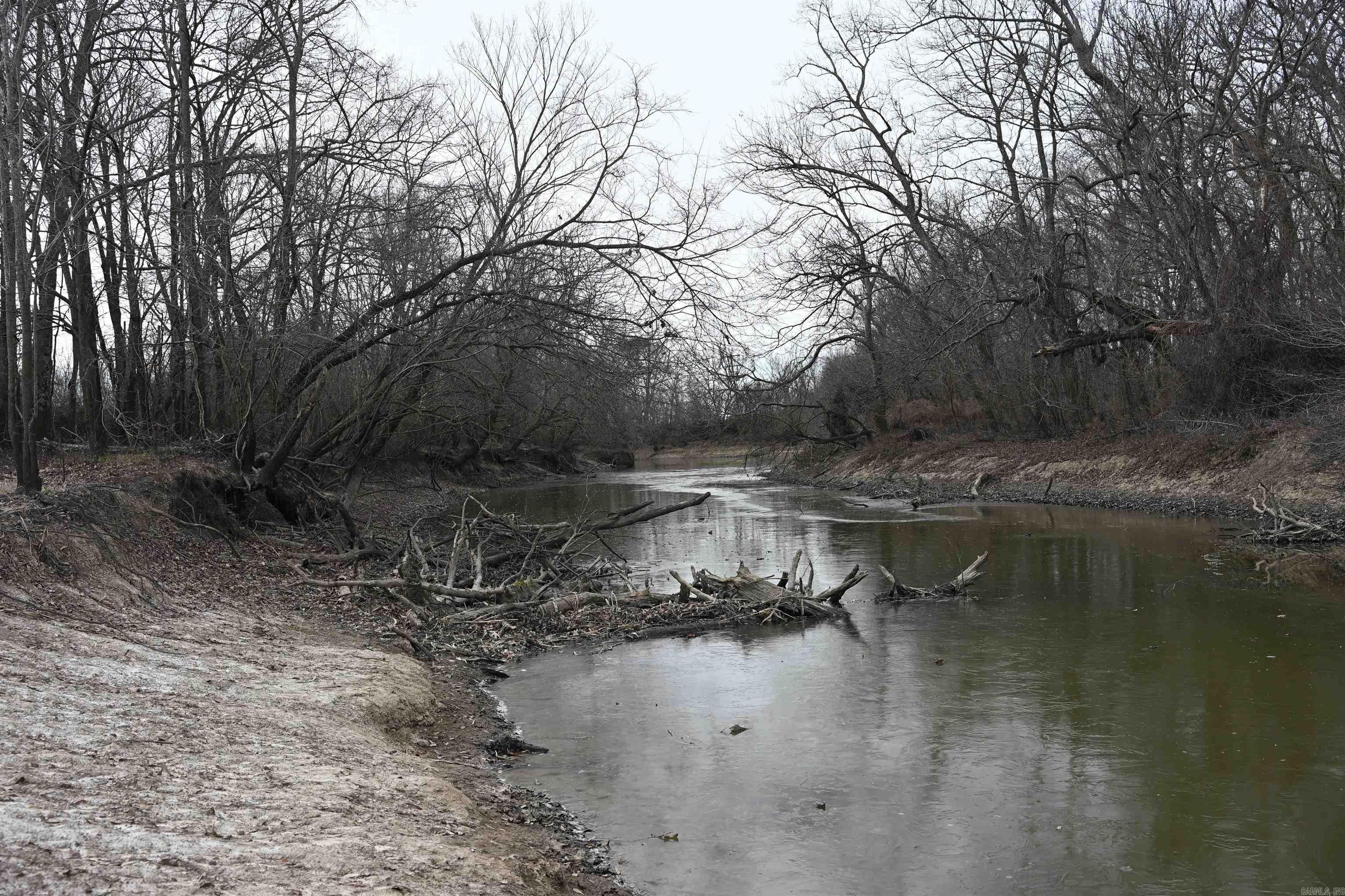 00 cr 242  Wynne, AR