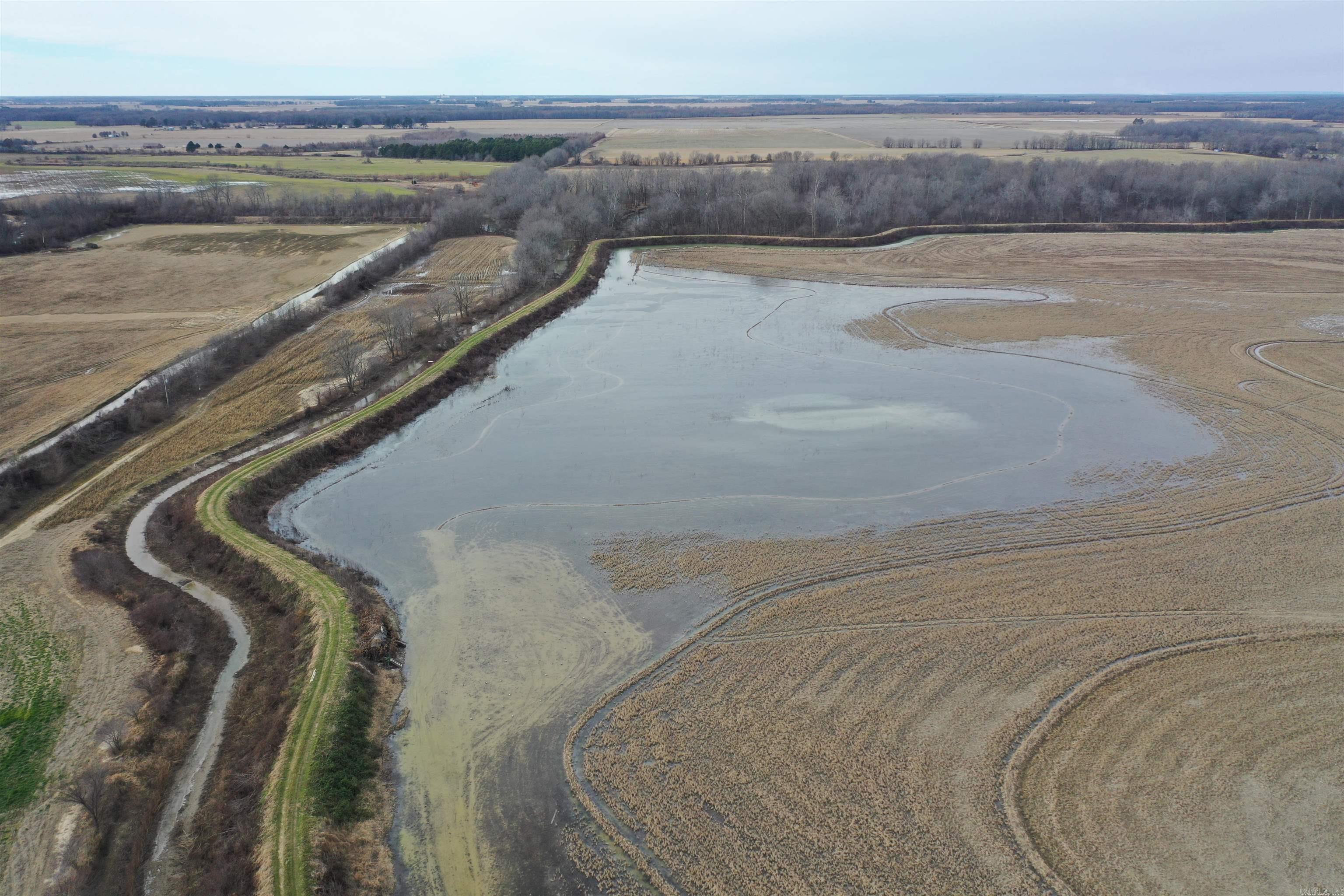 00 cr 242  Wynne, AR