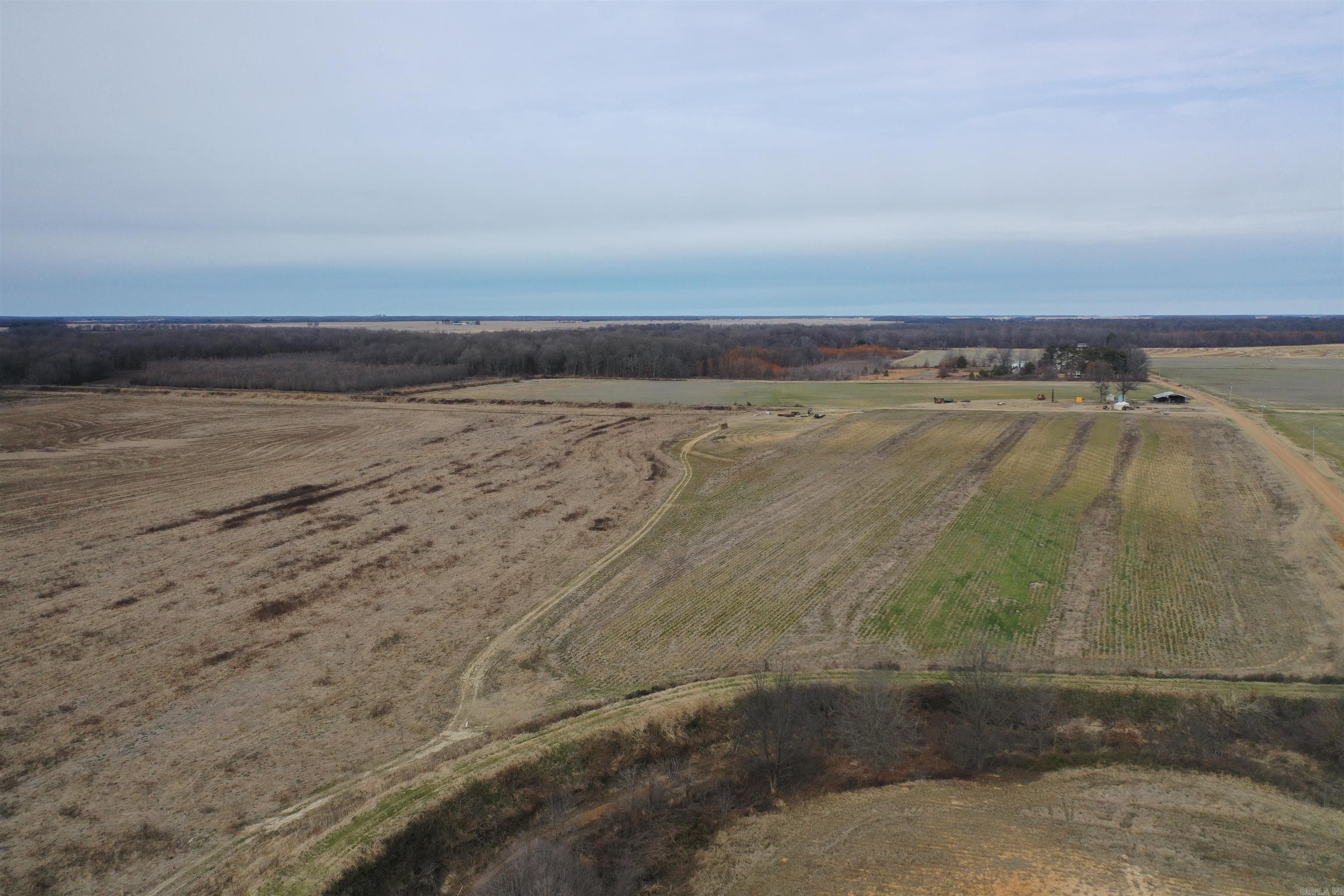 00 cr 242  Wynne, AR