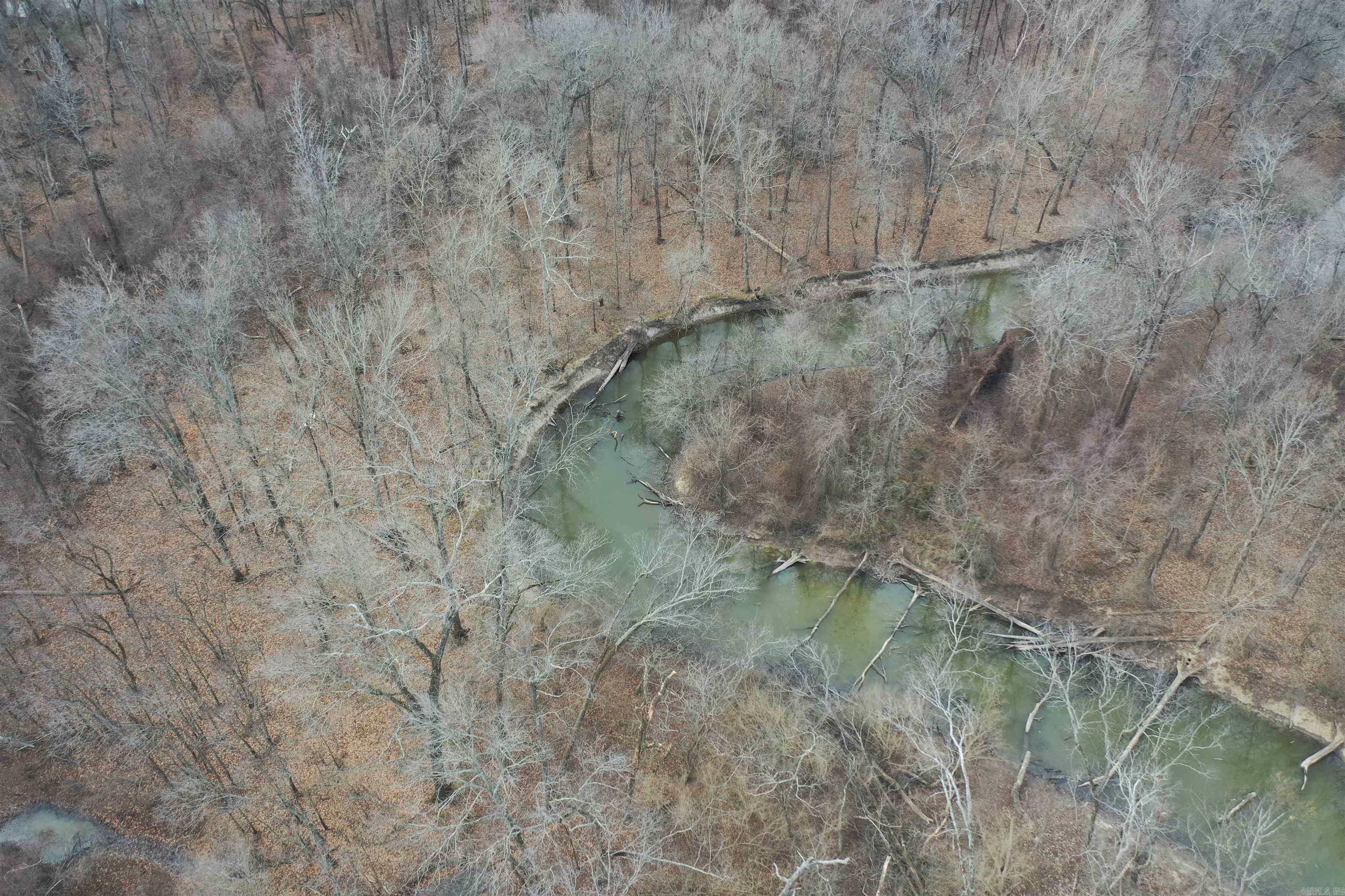 00 cr 242  Wynne, AR