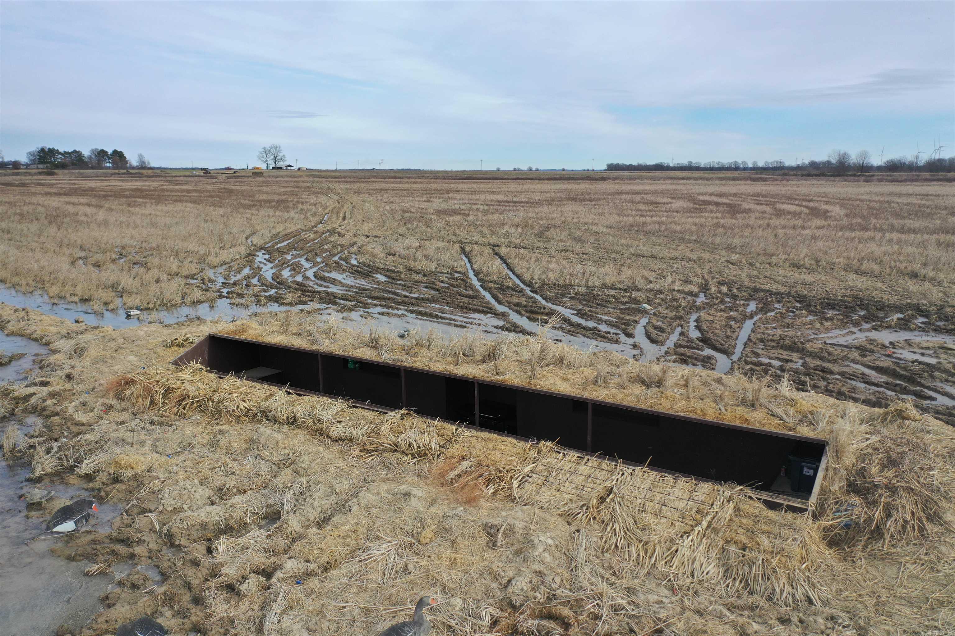 00 cr 242  Wynne, AR