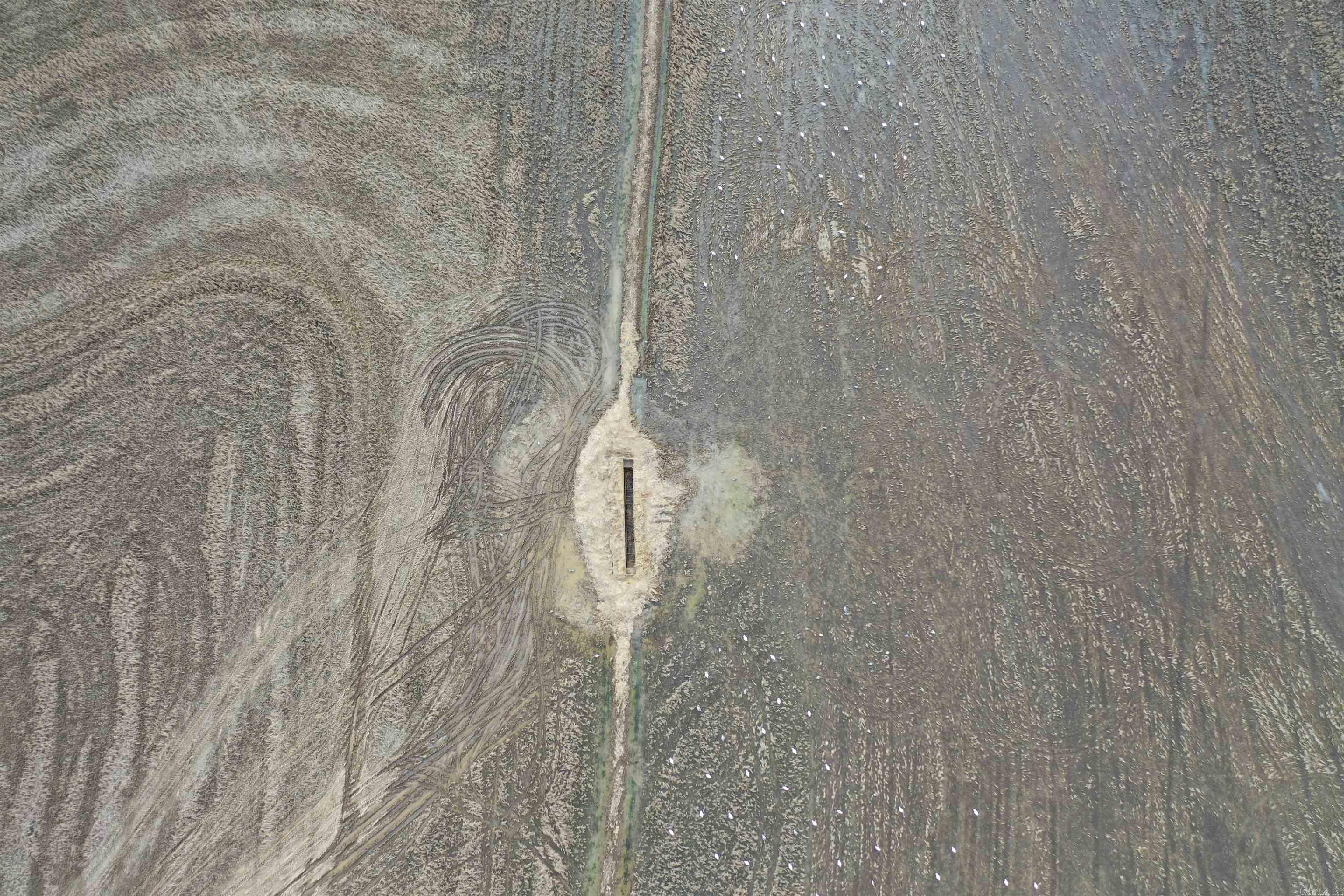 00 cr 242  Wynne, AR