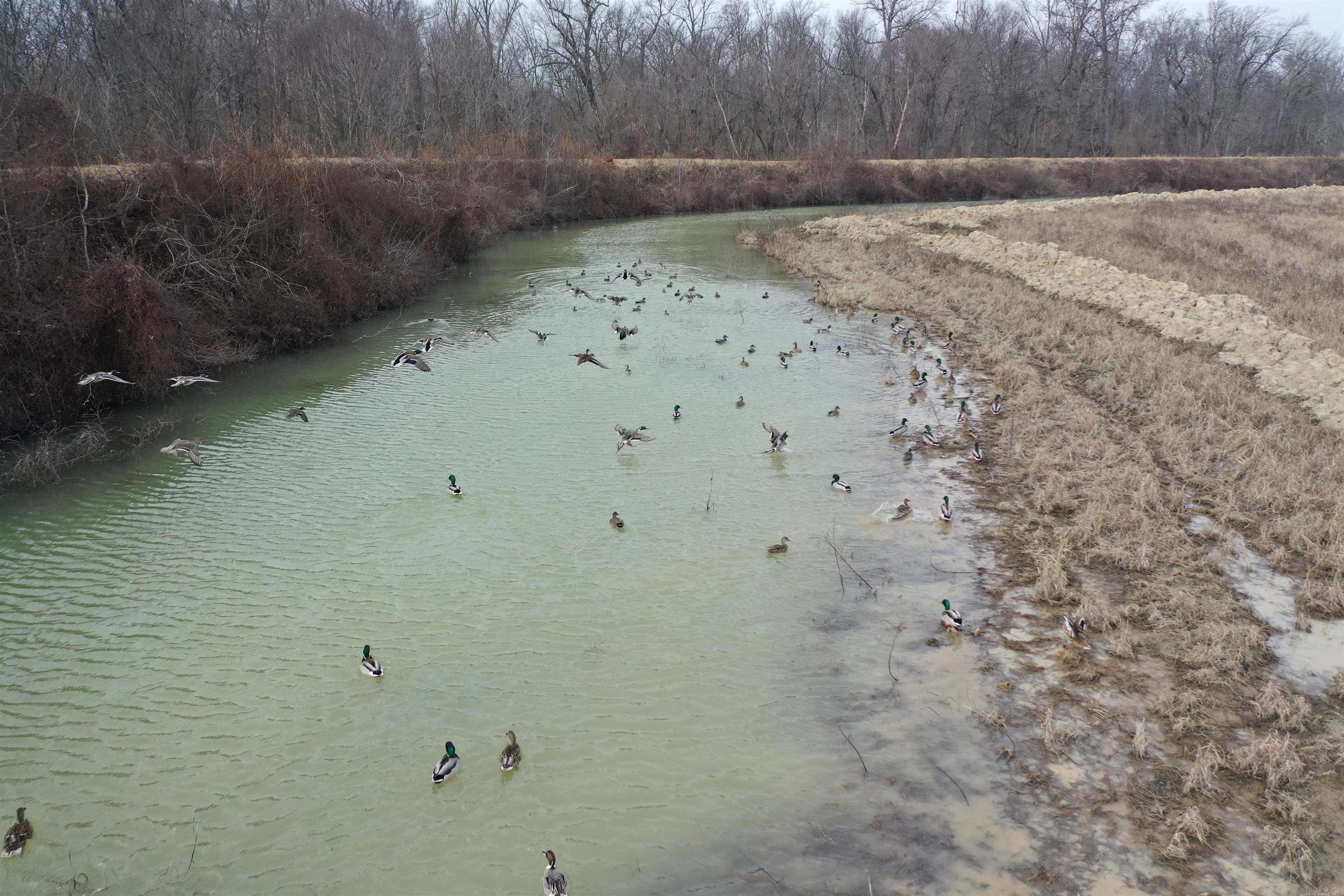 00 cr 242  Wynne, AR