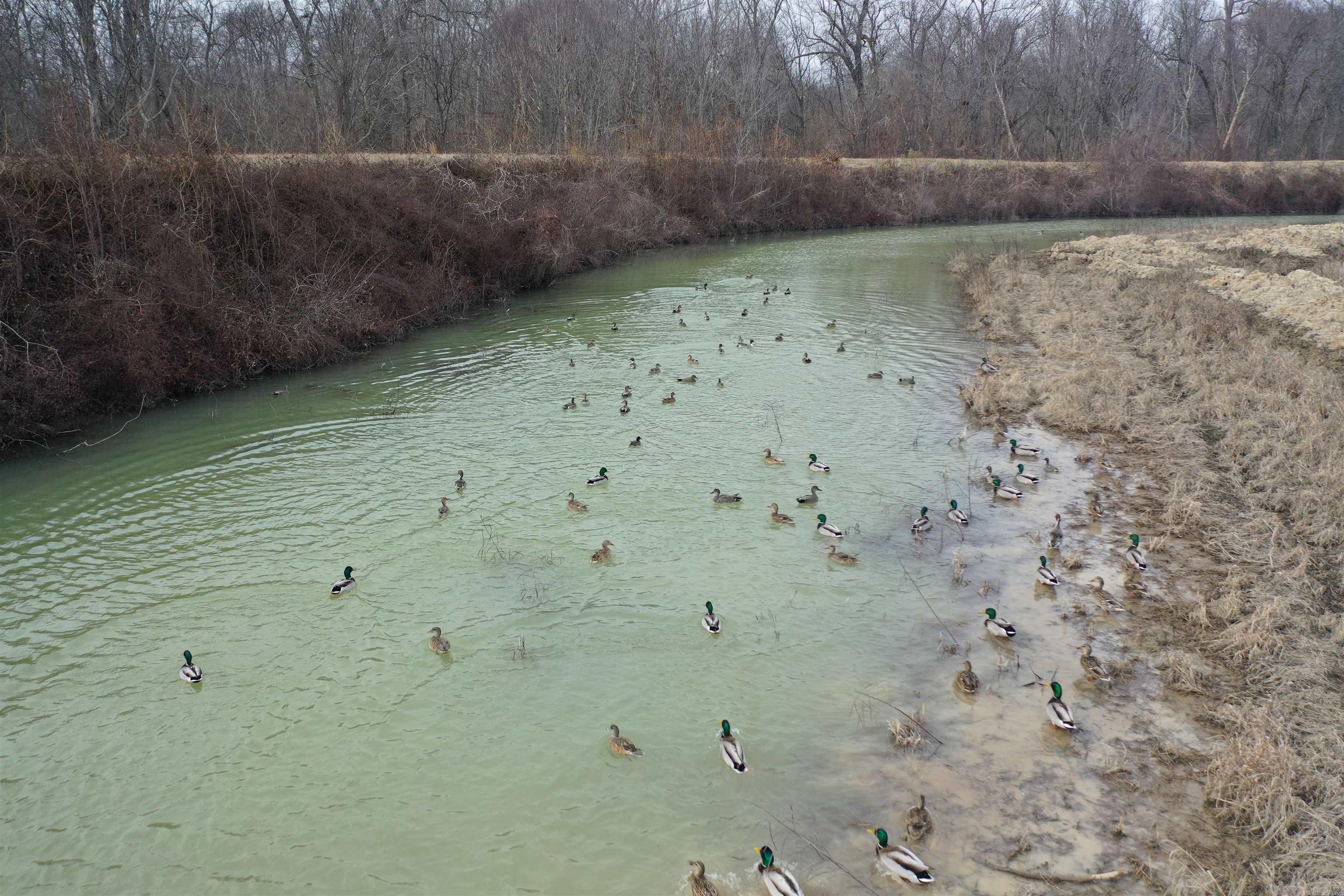 00 cr 242  Wynne, AR