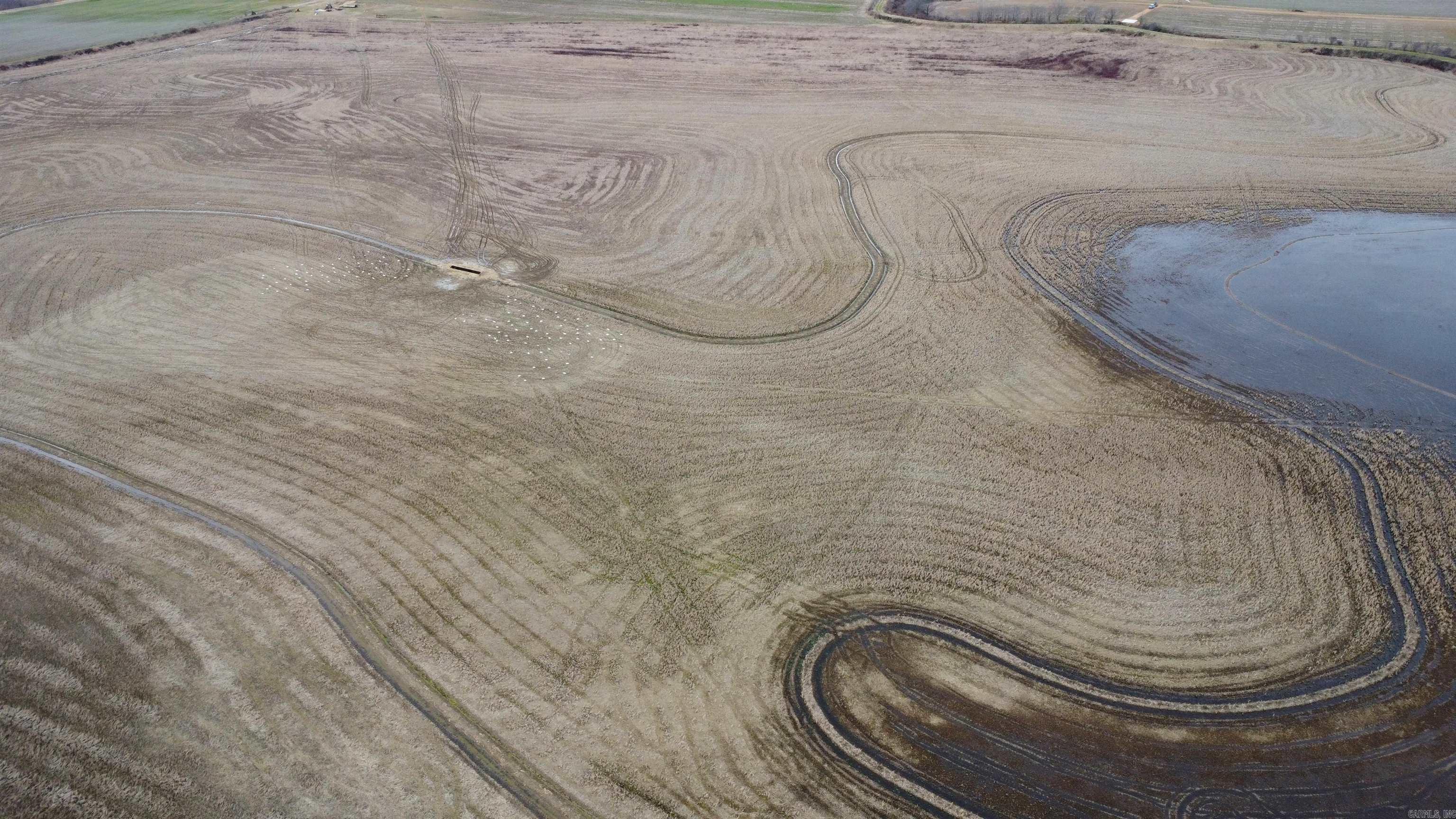 00 cr 242  Wynne, AR