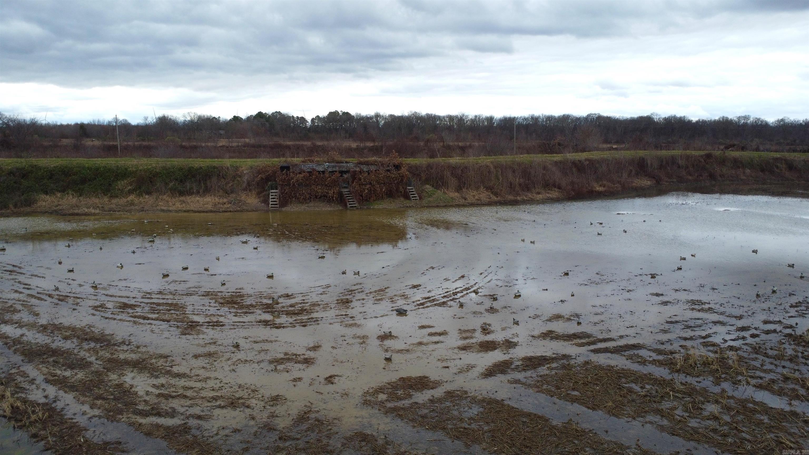 00 cr 242  Wynne, AR