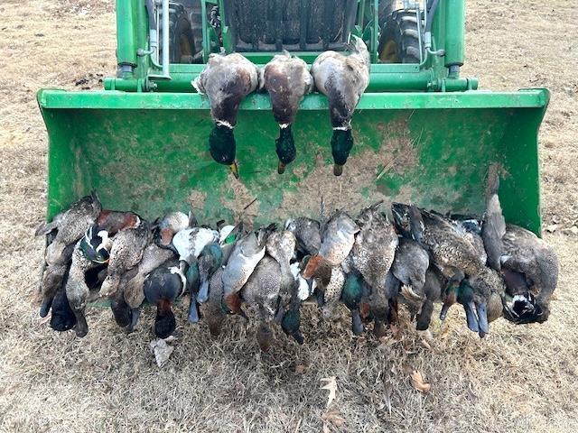 00 cr 242  Wynne, AR