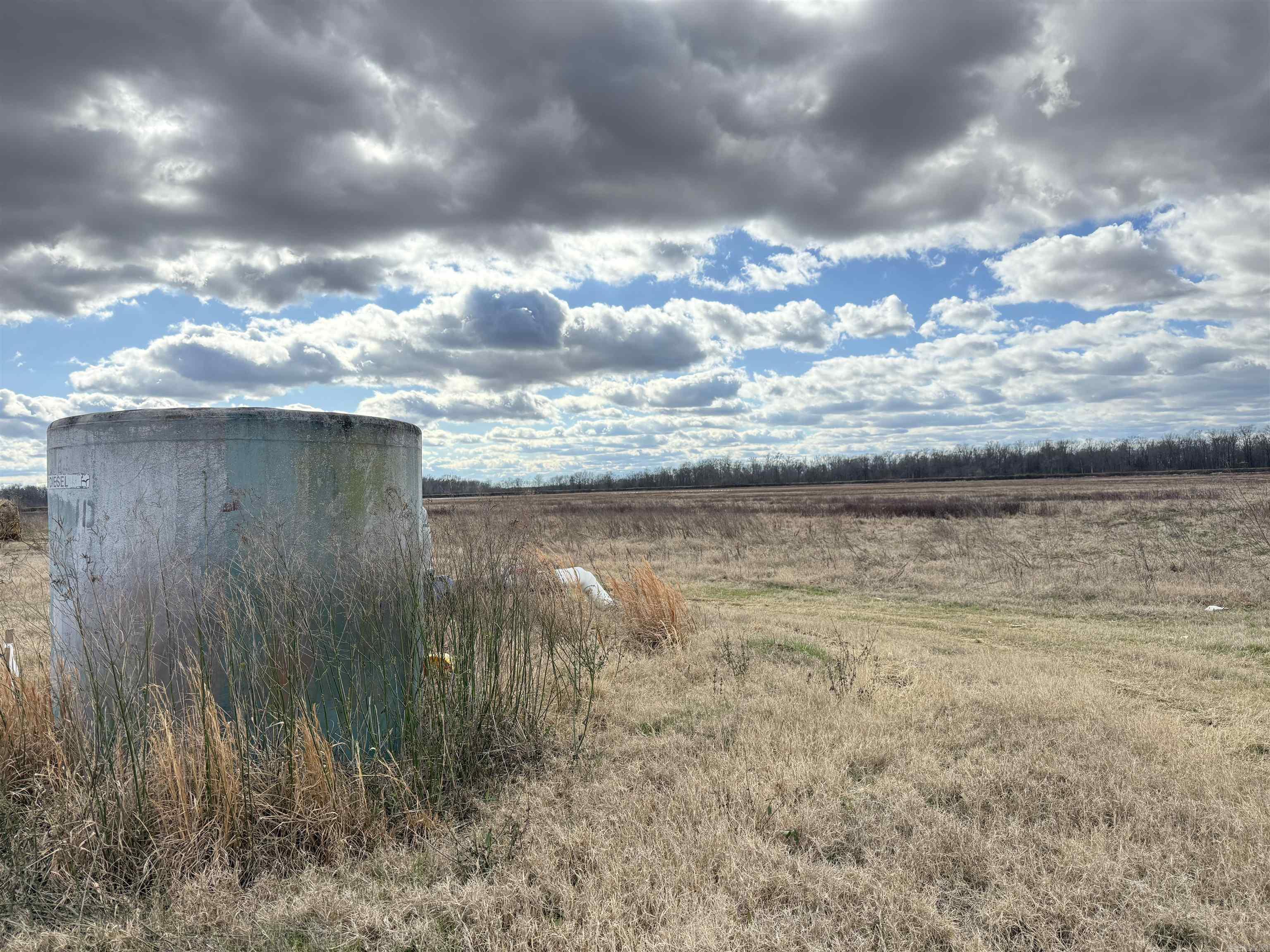 00 cr 242  Wynne, AR