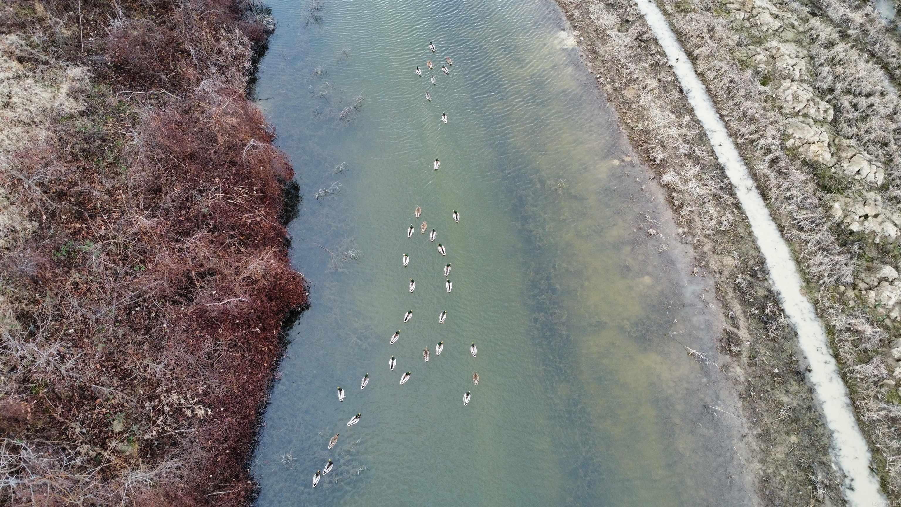 00 cr 242  Wynne, AR