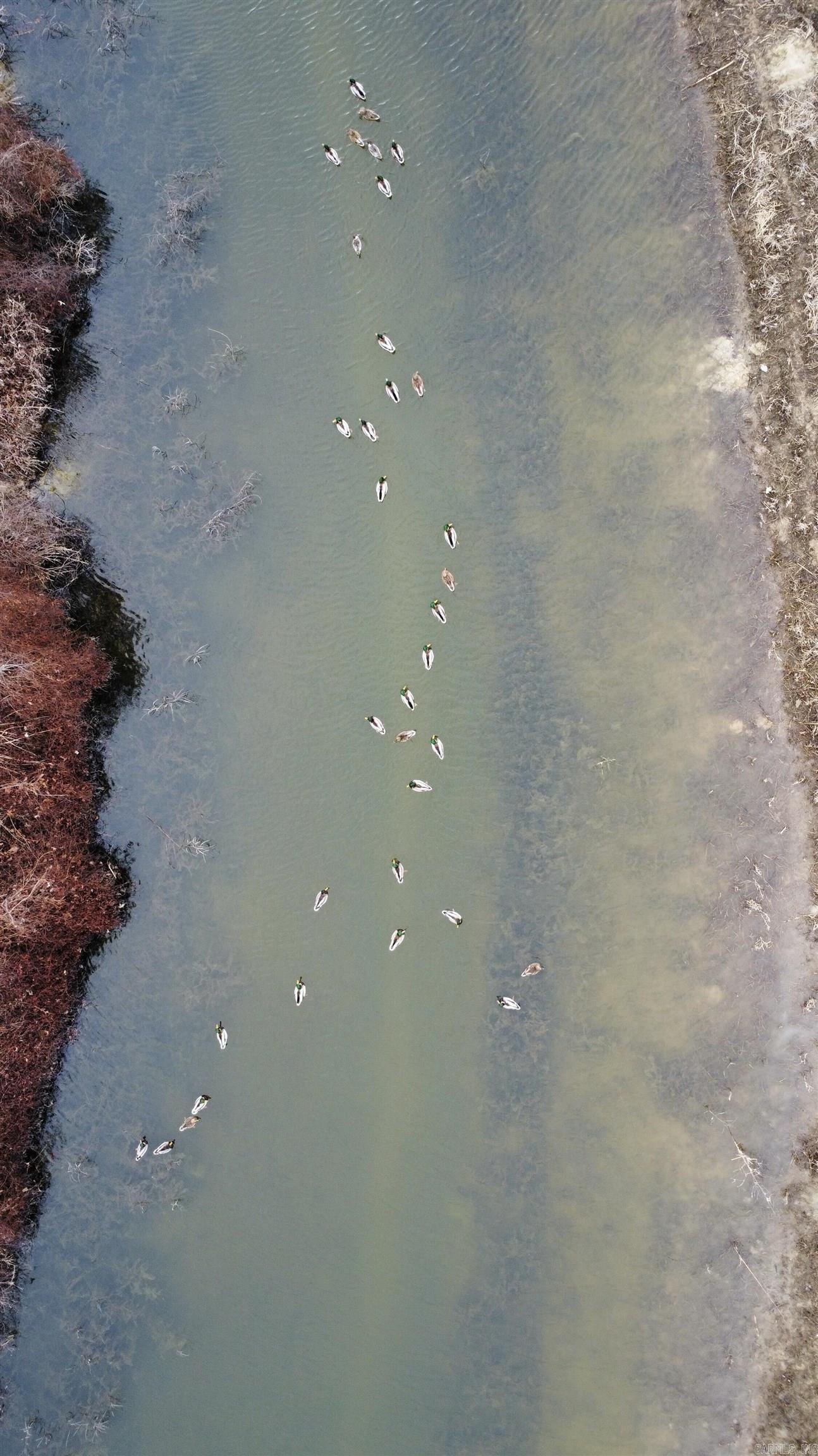 00 cr 242  Wynne, AR