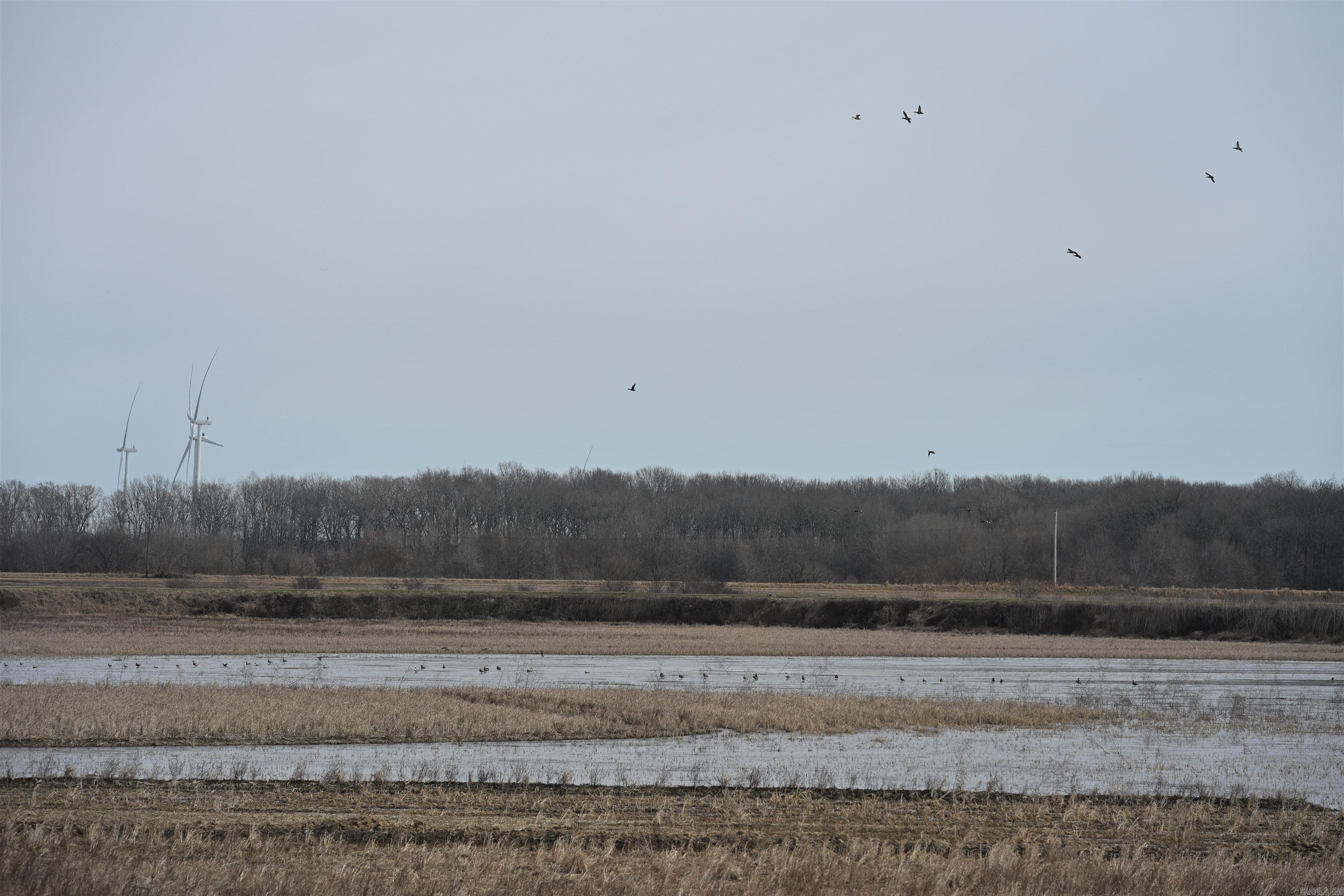 00 cr 242  Wynne, AR