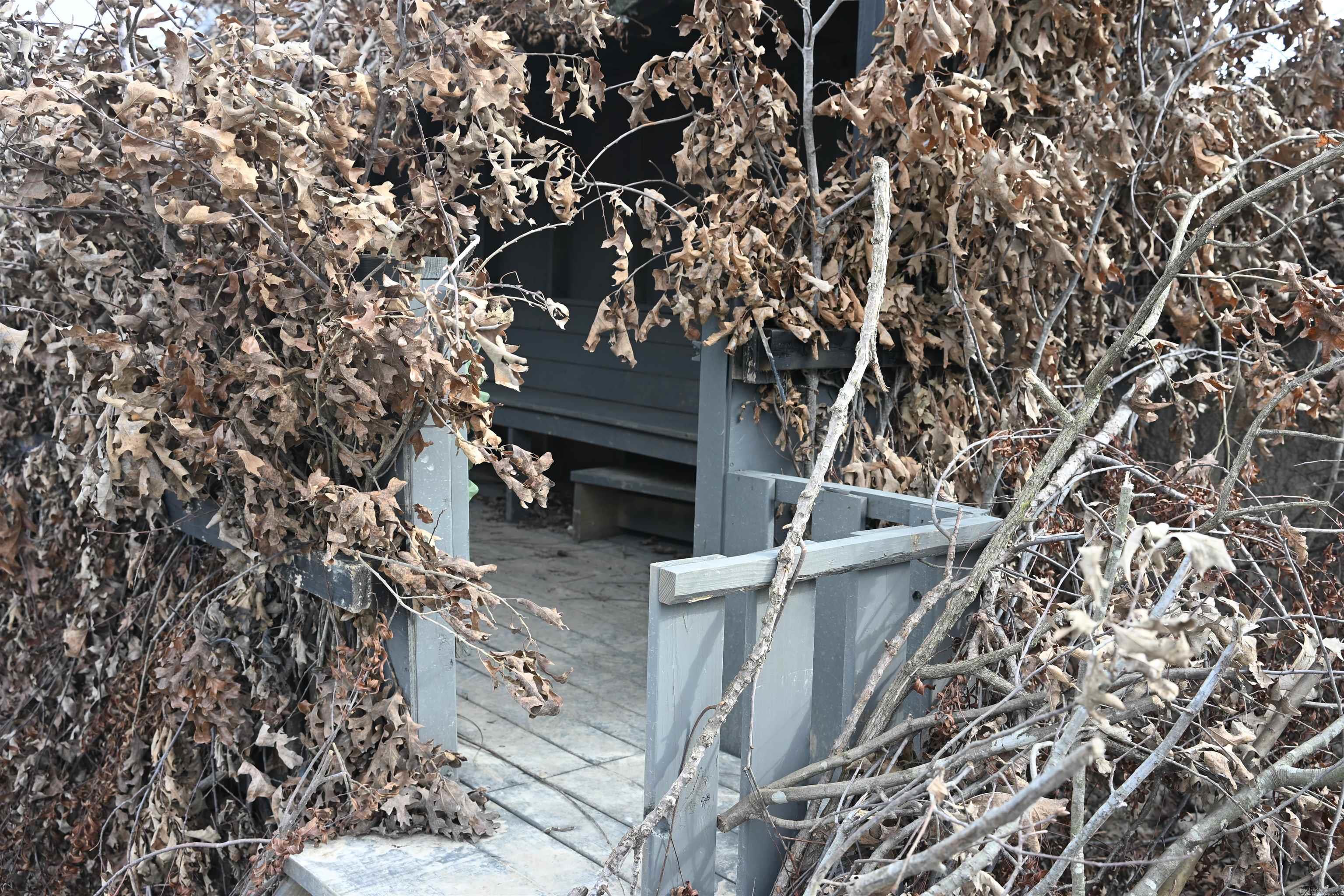 00 cr 242  Wynne, AR