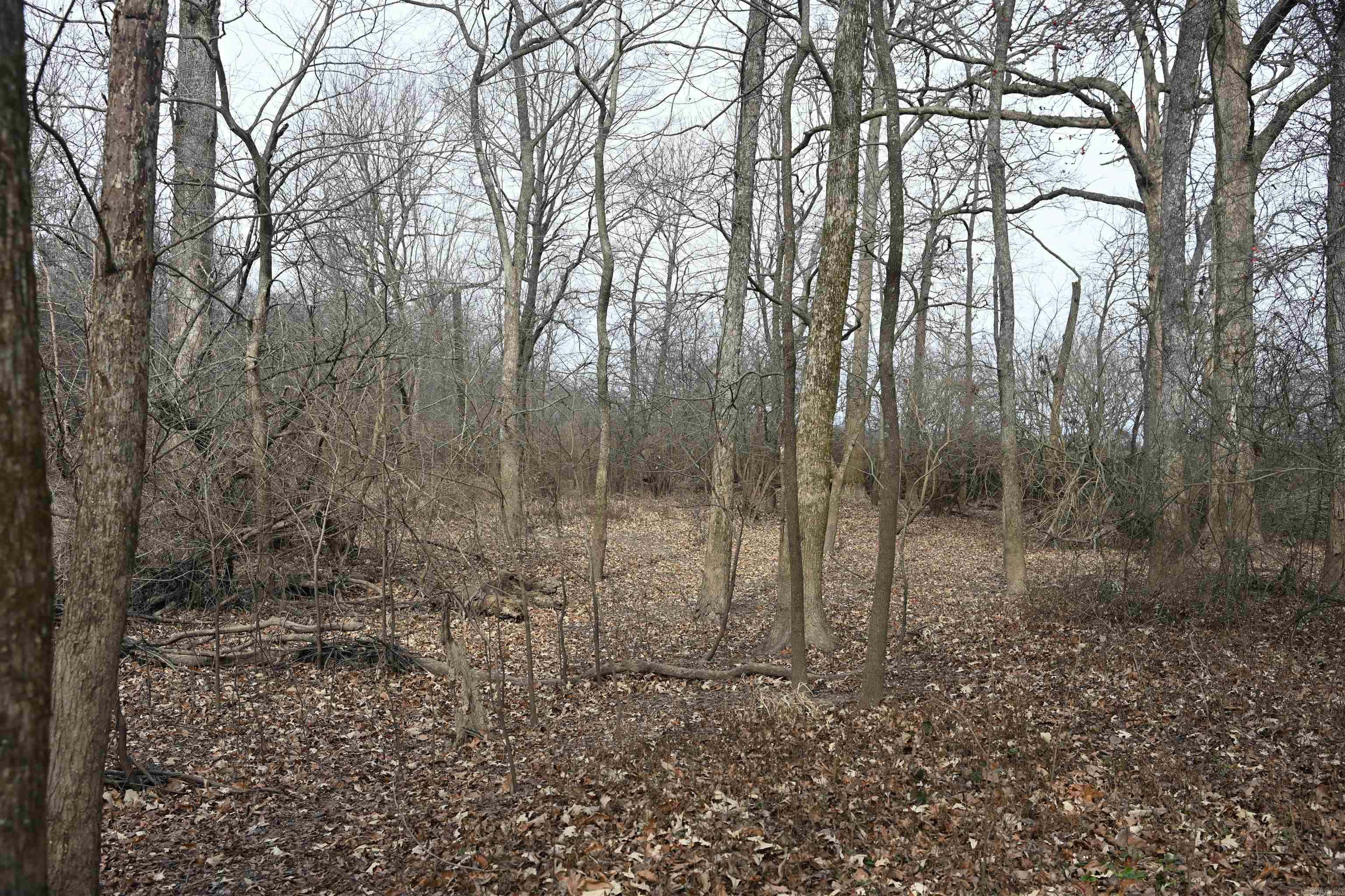 00 cr 242  Wynne, AR