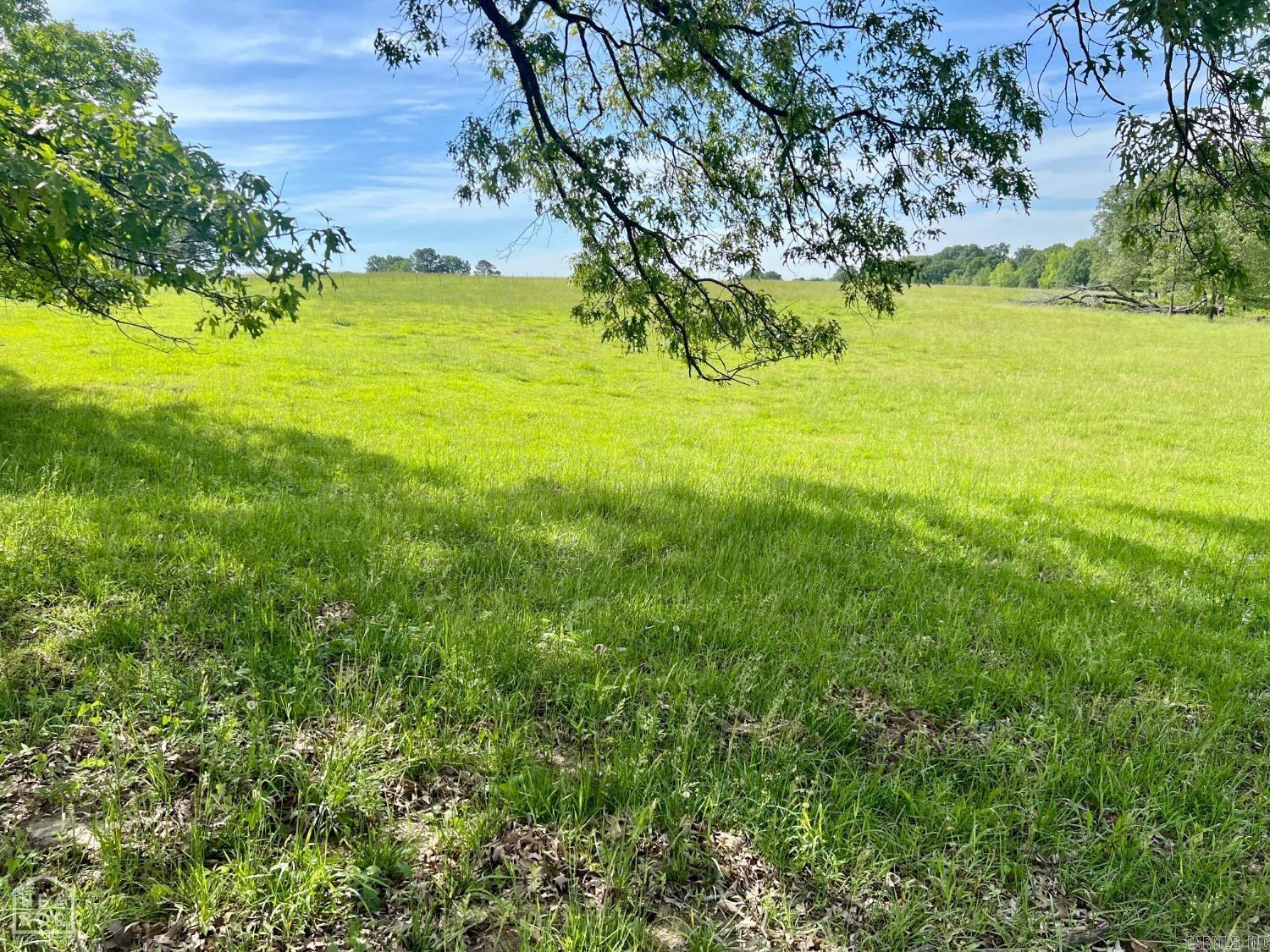 394 County Road 348  Jonesboro, AR