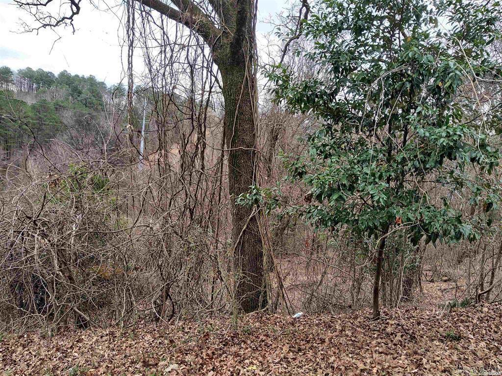 TBD Wade  Hot Springs, AR