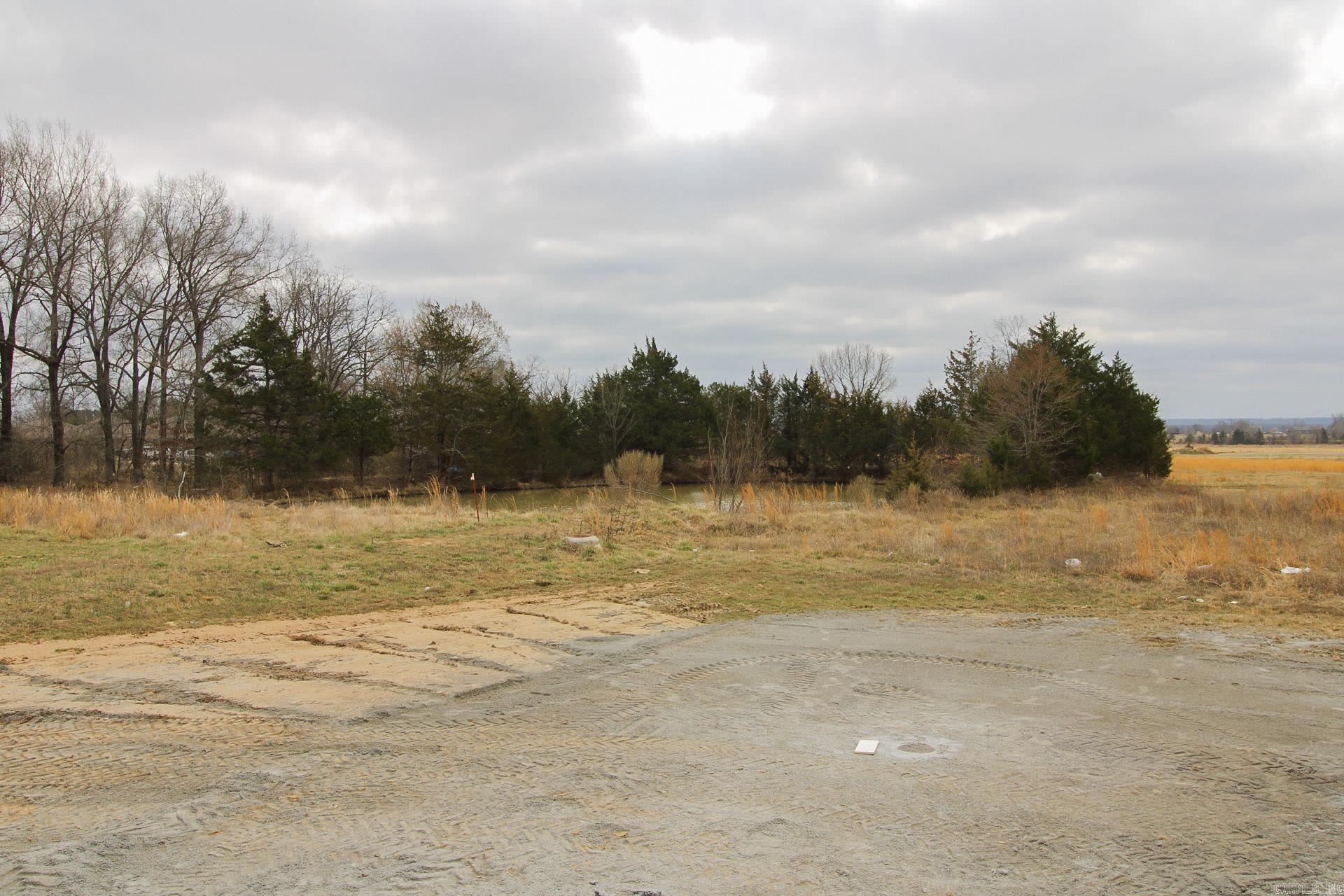 1020 Ridgeview Cove Vilonia, AR 72173