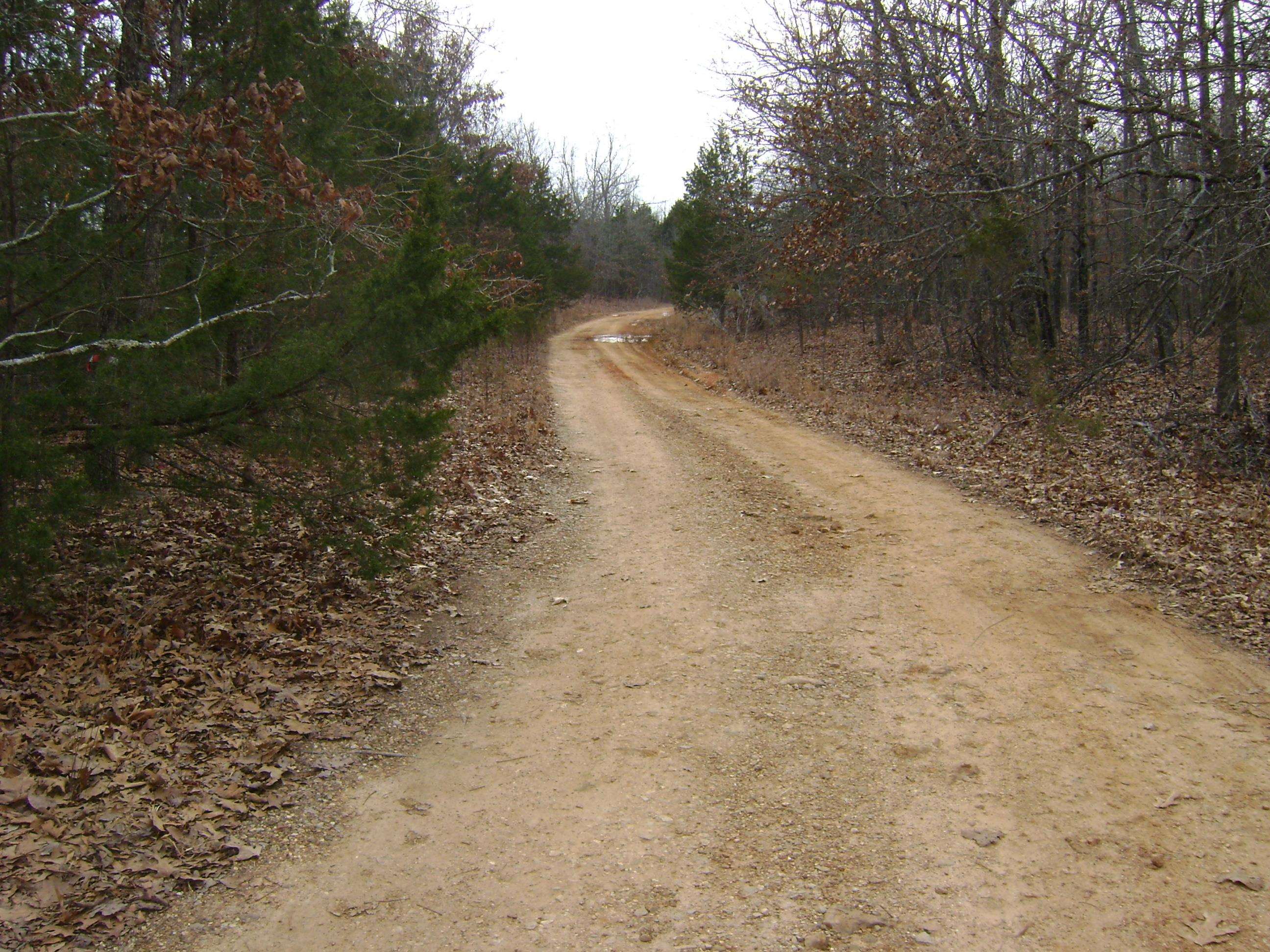  Kennedy Road  Ash Flat, AR