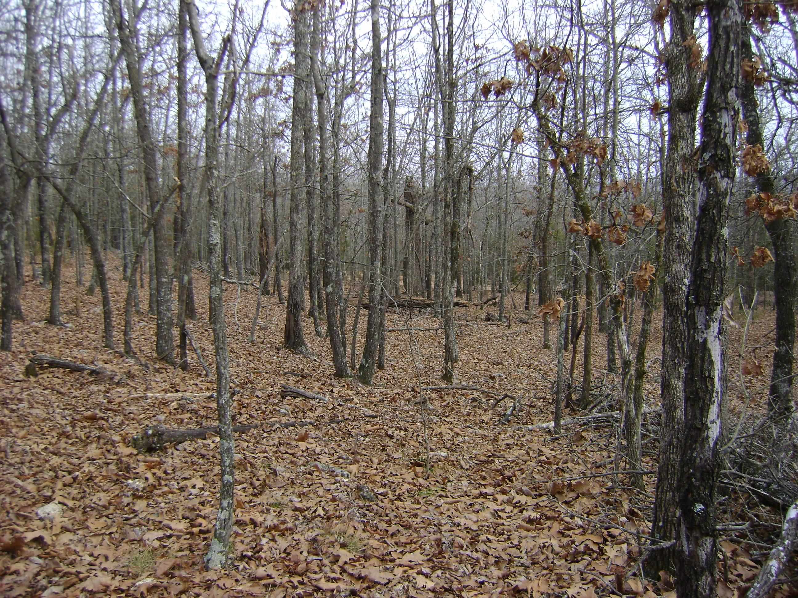  Kennedy Road  Ash Flat, AR