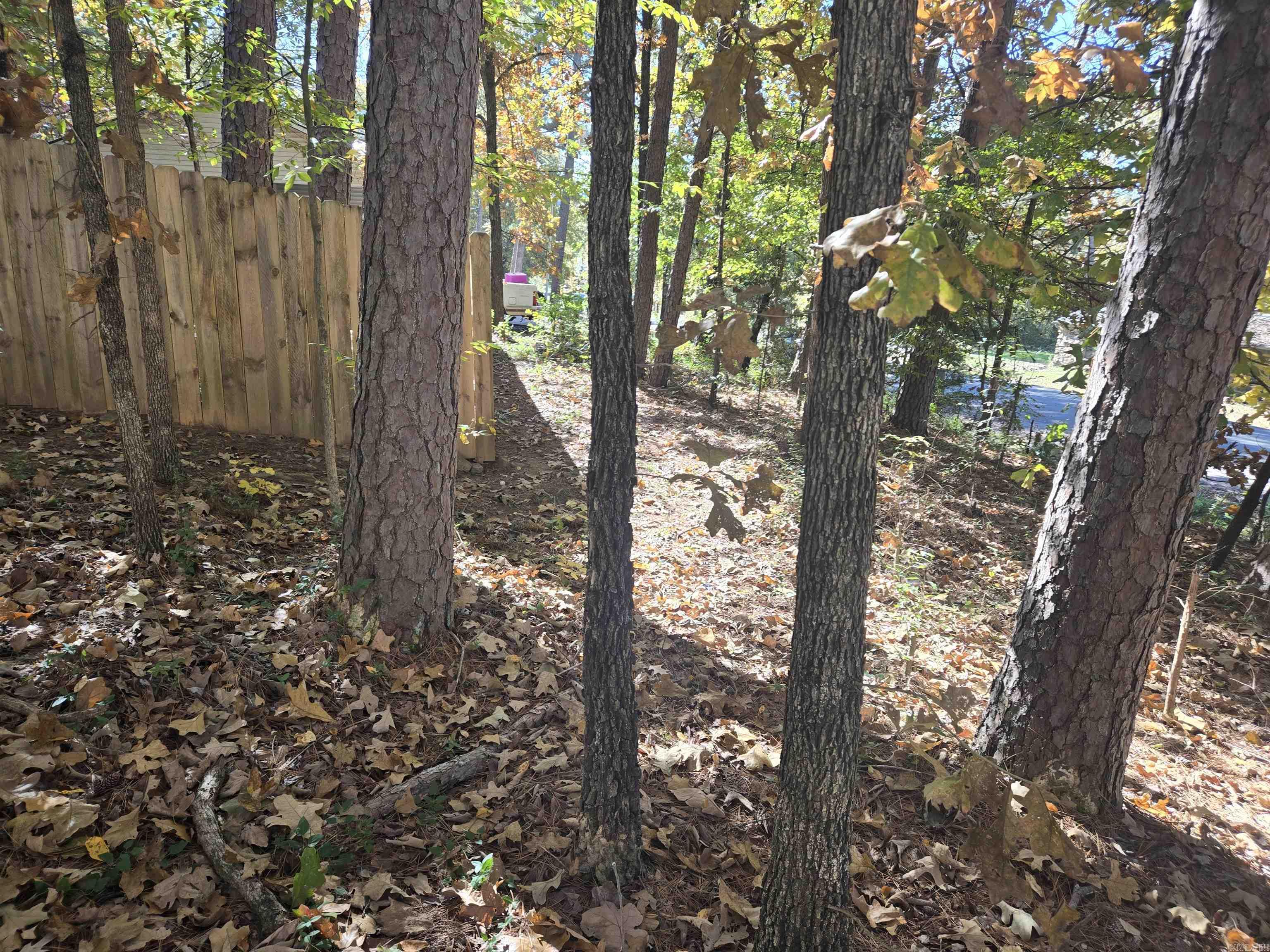 429 E Moore  Heber Springs, AR