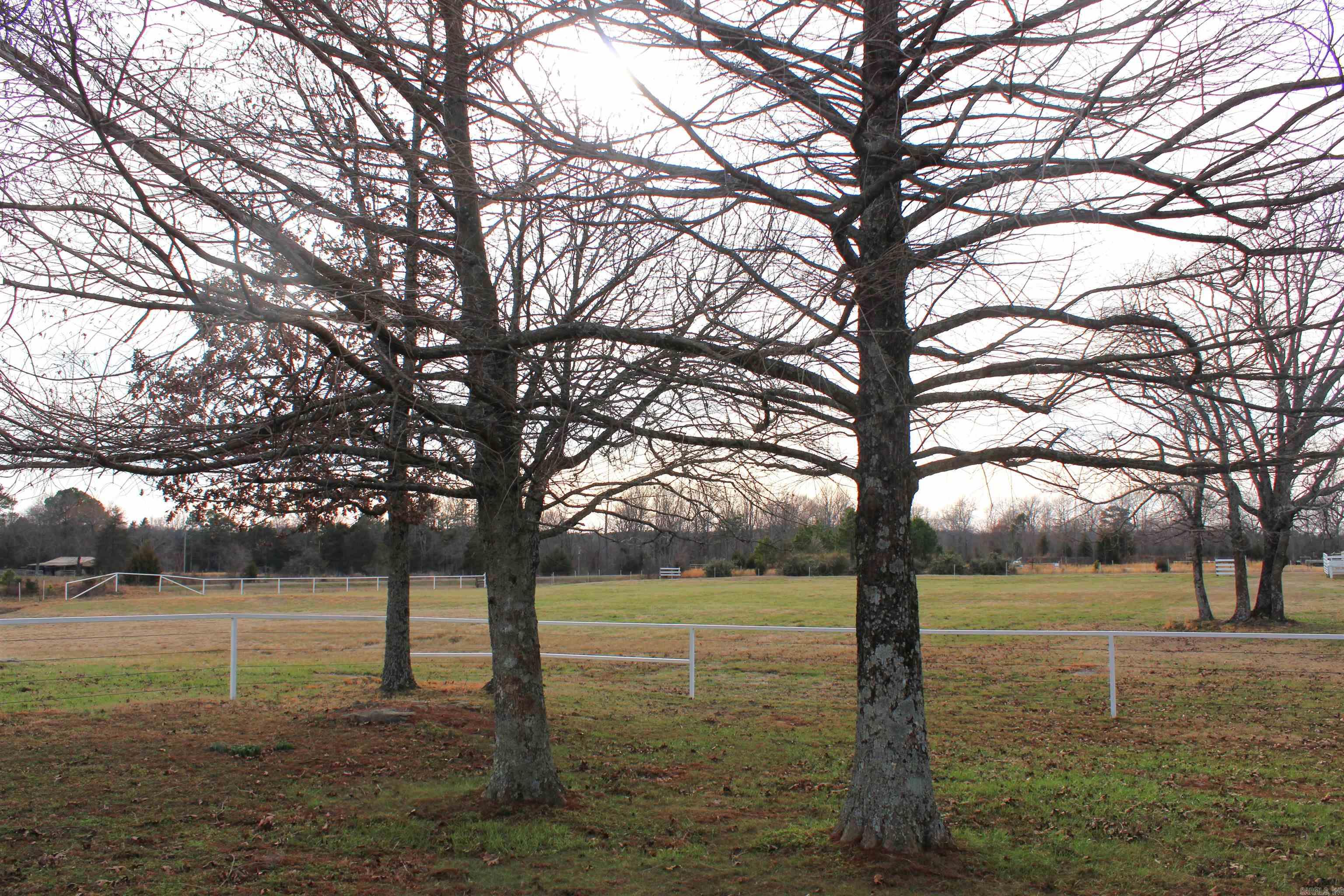 1770 S Stacy Springs  Quitman, AR