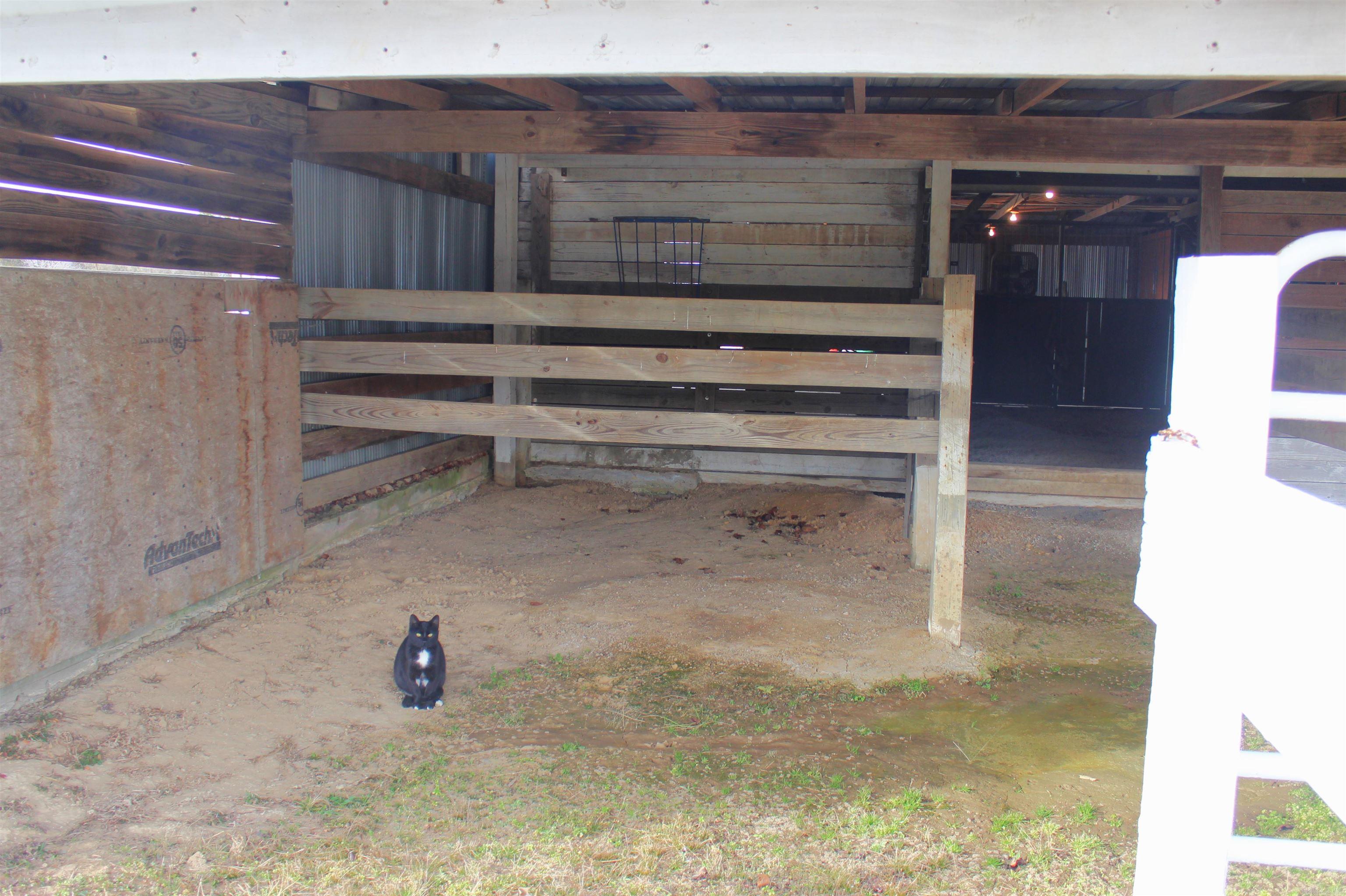 1770 S Stacy Springs  Quitman, AR