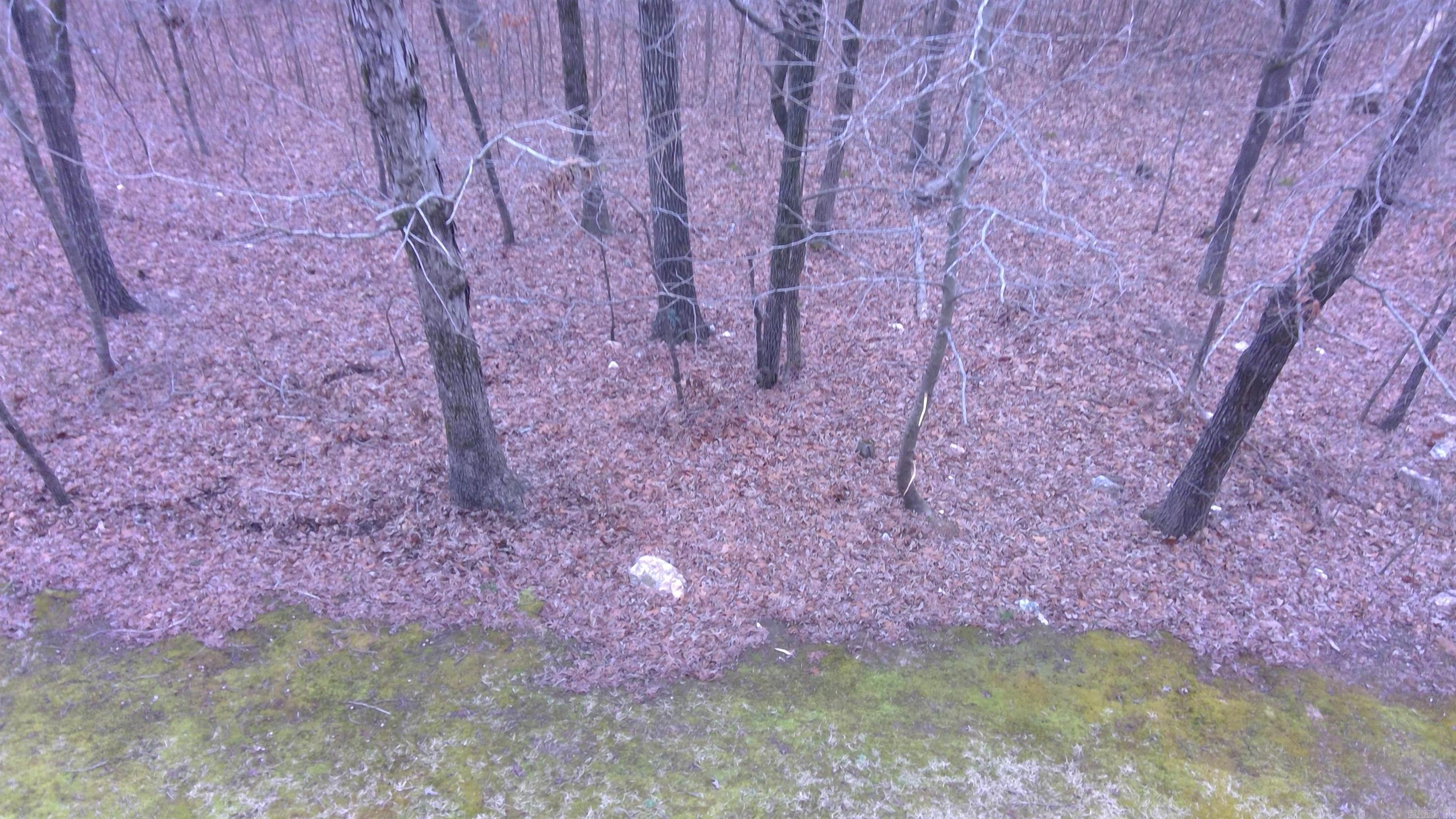 14025 Overcreek  Little Rock, AR