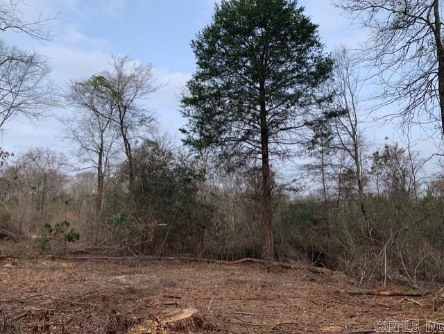 Tract 3 11395 Hwy 84  Bismarck, AR