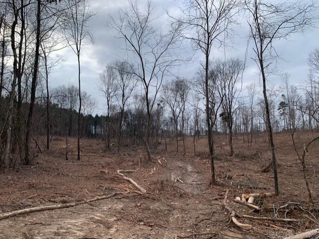 Tract 3 11395 Hwy 84  Bismarck, AR