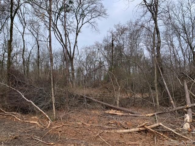 Tract 3 11395 Hwy 84  Bismarck, AR