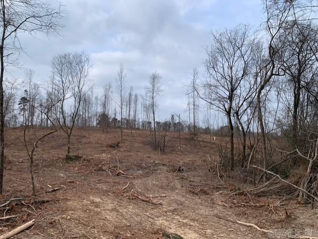 Tract 3 11395 Hwy 84  Bismarck, AR