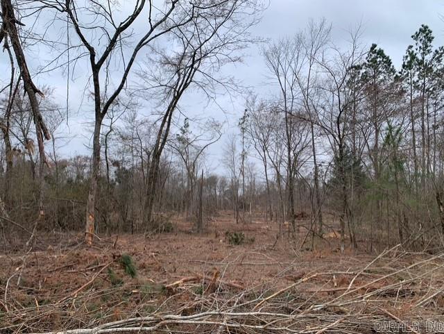 Tract 3 11395 Hwy 84  Bismarck, AR