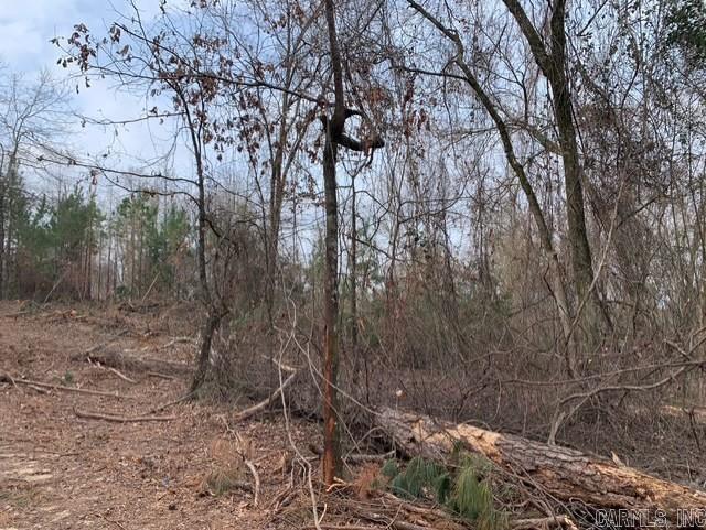 Tract 3 11395 Hwy 84  Bismarck, AR