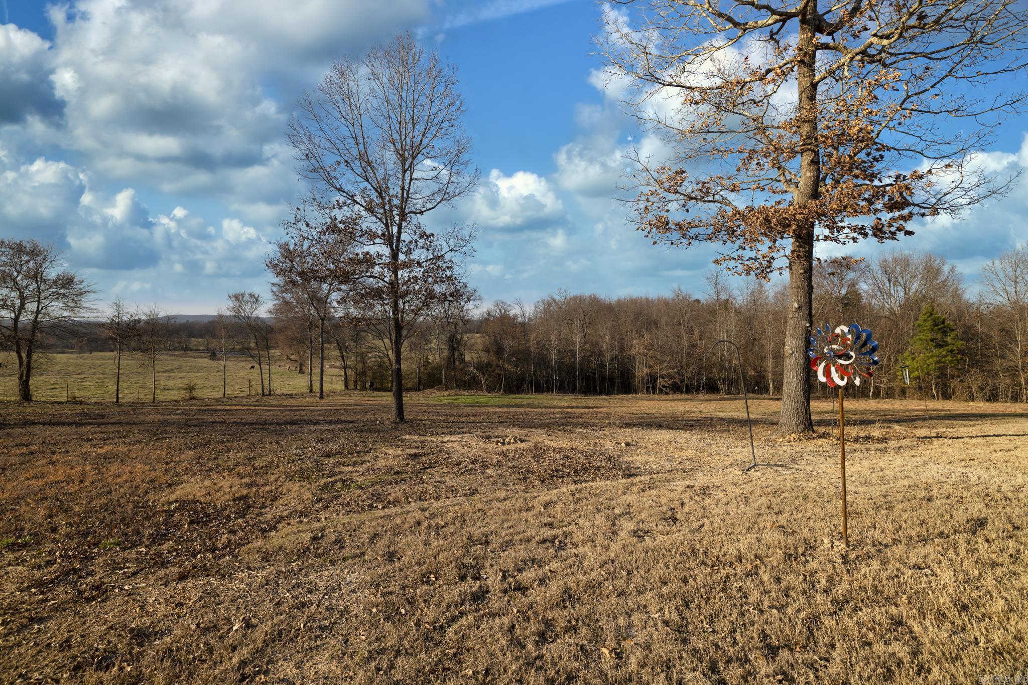 279 Eagles Ln  Bismarck, AR