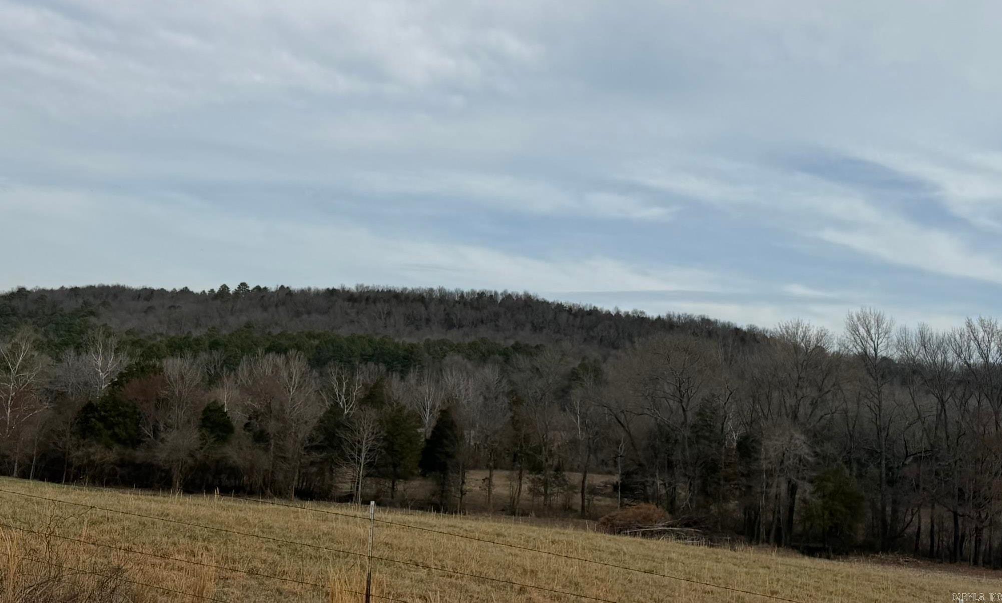 000 Sandy Ford Rd.  Antioch, AR