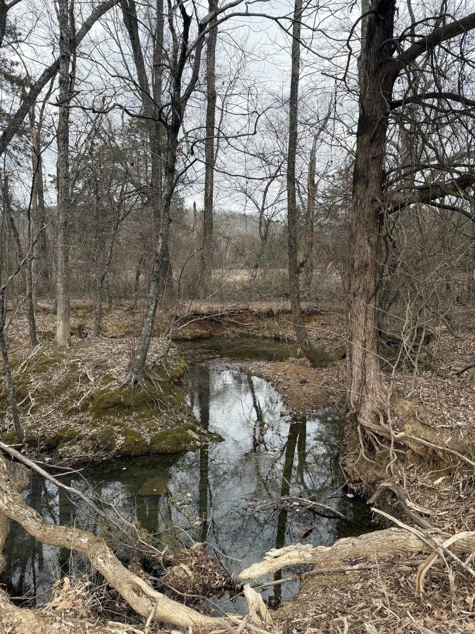 000 Sandy Ford Rd.  Antioch, AR