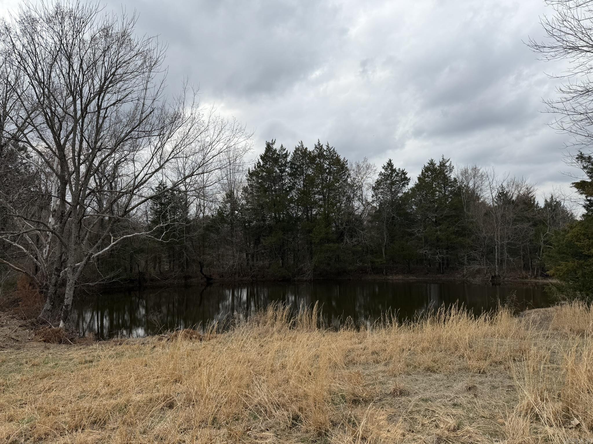 000 Sandy Ford Rd.  Antioch, AR