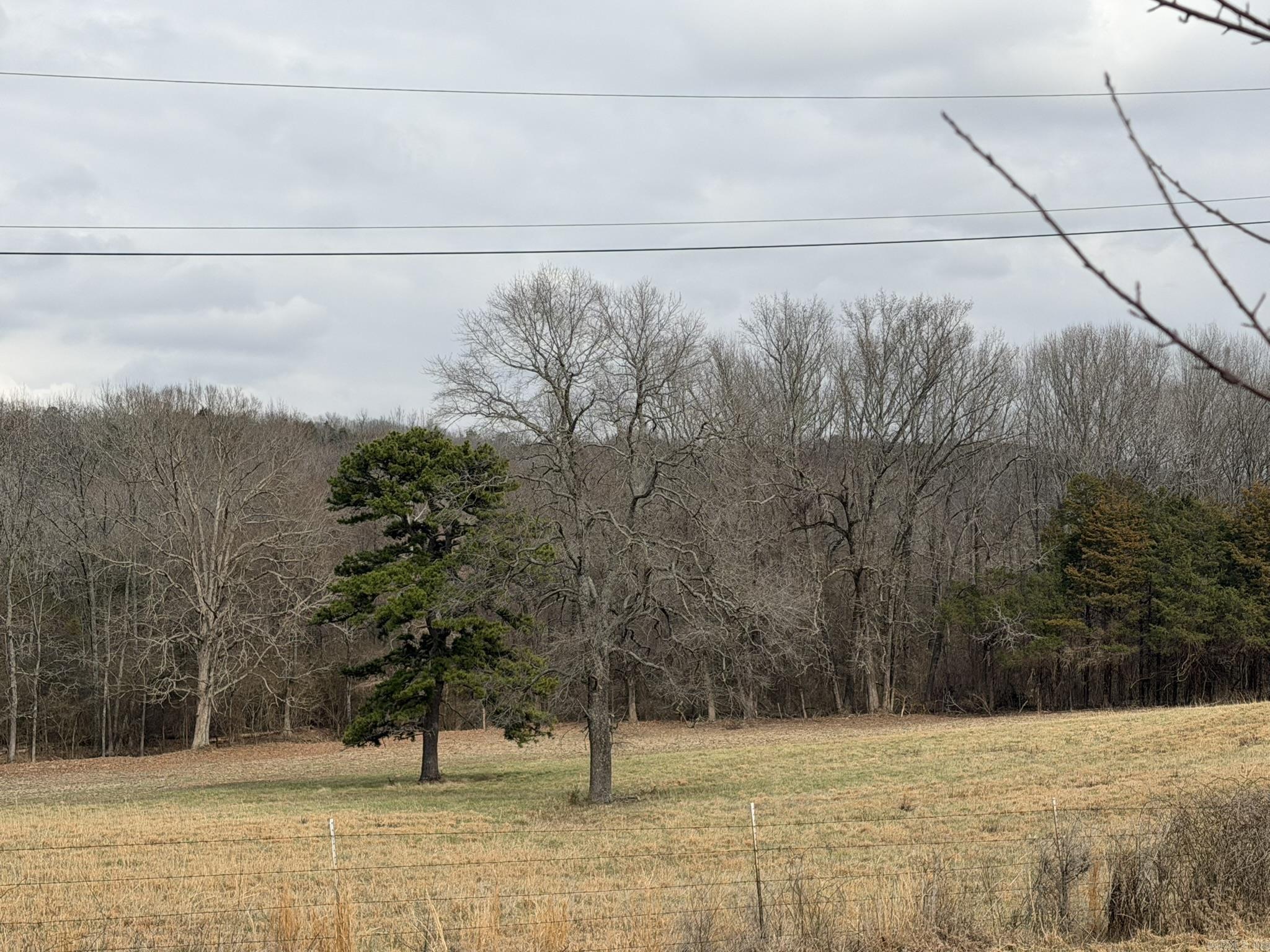 000 Sandy Ford Rd.  Antioch, AR