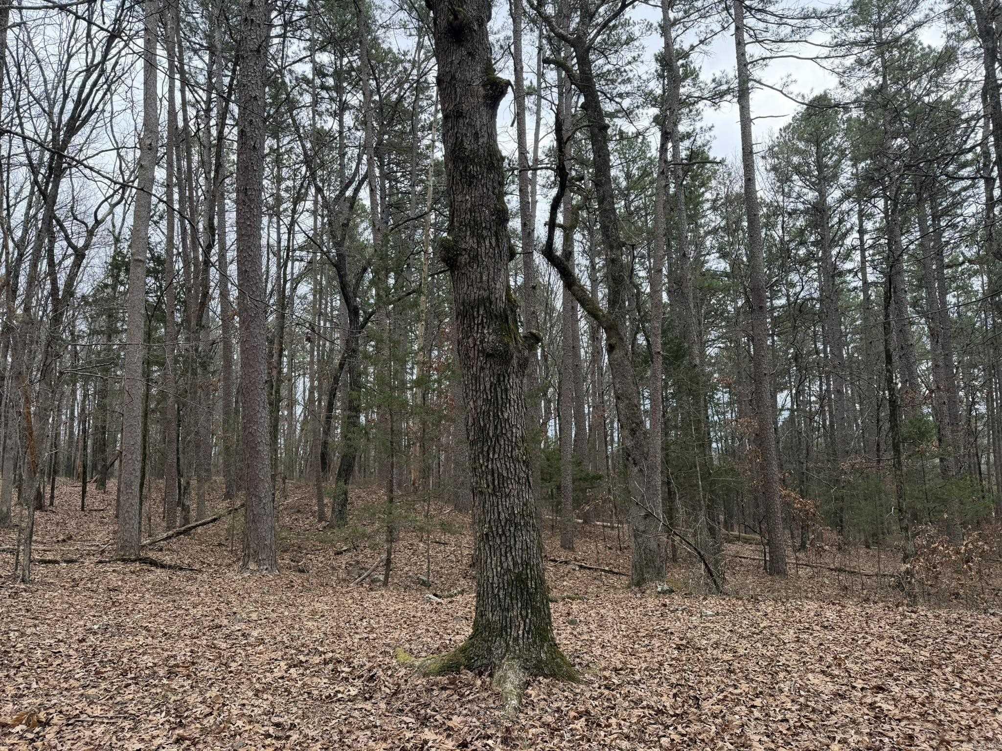 000 Sandy Ford Rd.  Antioch, AR