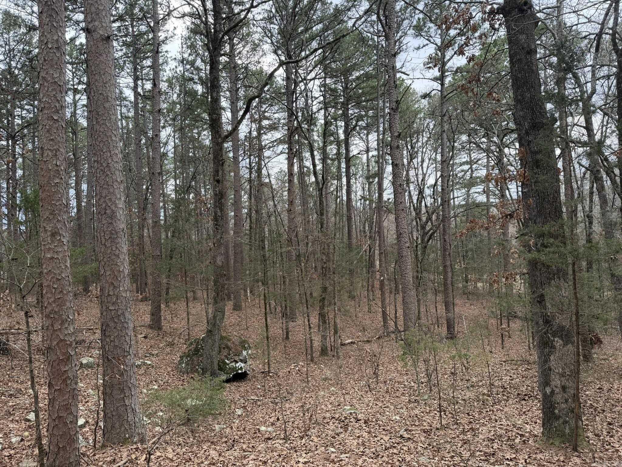 000 Sandy Ford Rd.  Antioch, AR