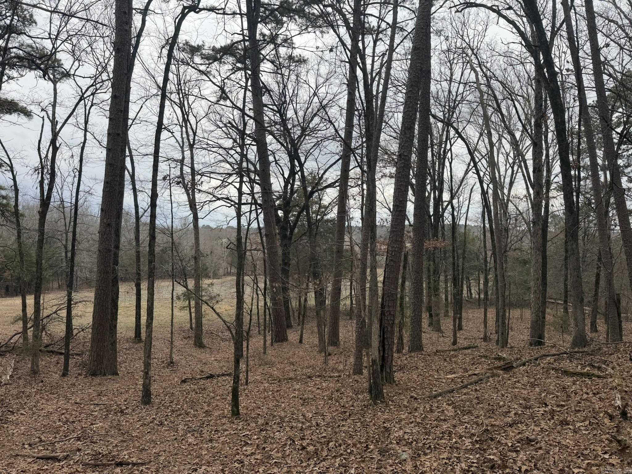 000 Sandy Ford Rd.  Antioch, AR