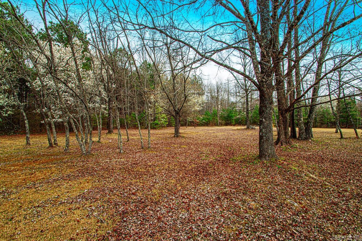 91 Mini Farm Road Vilonia, AR 72173-9584