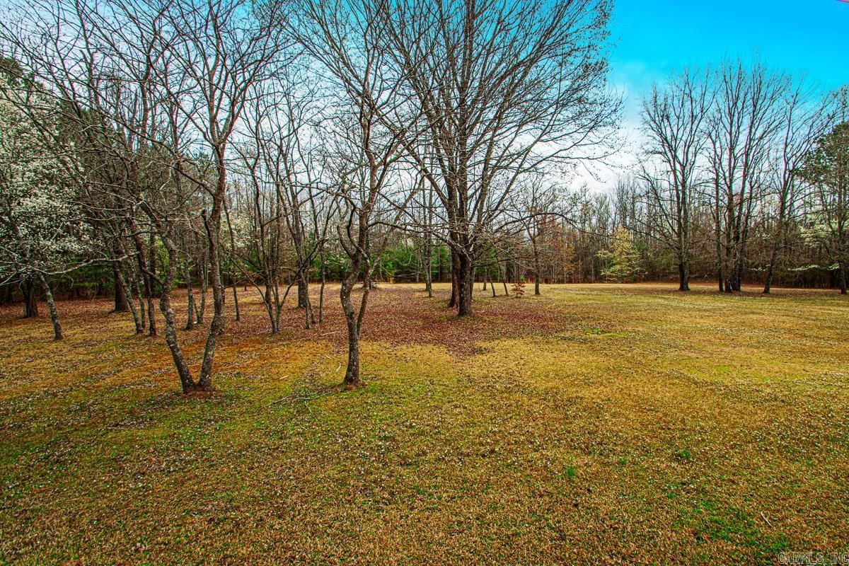 91 Mini Farm Road Vilonia, AR 72173-9584