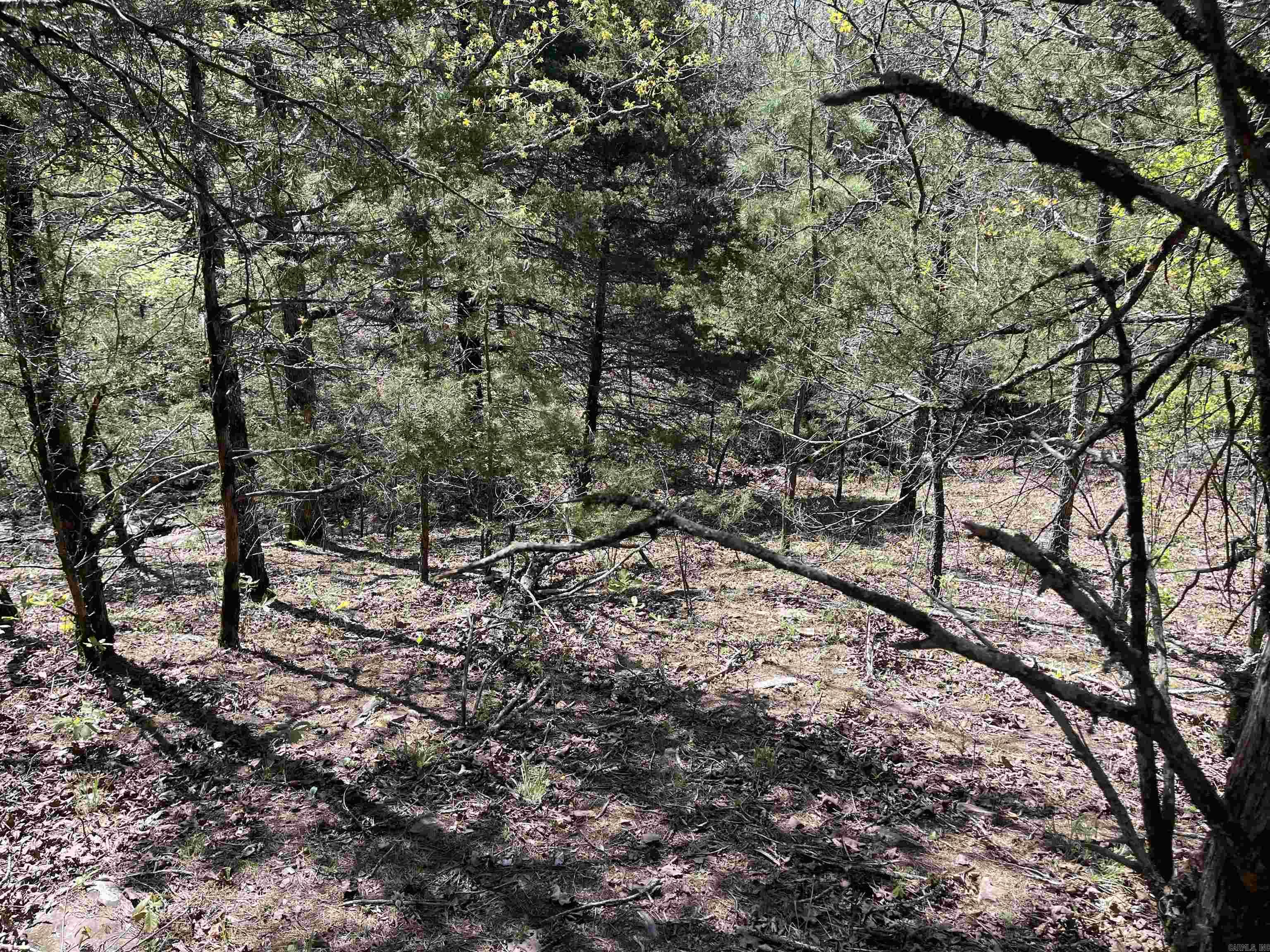 000 Lost Valley Rd  Greenbrier, AR