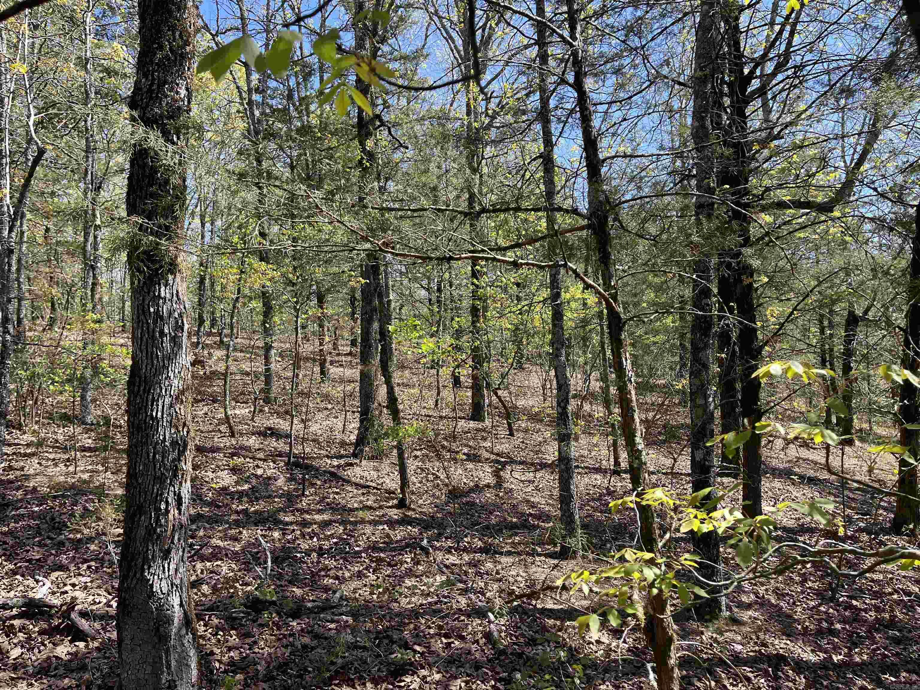 000 Lost Valley Rd  Greenbrier, AR