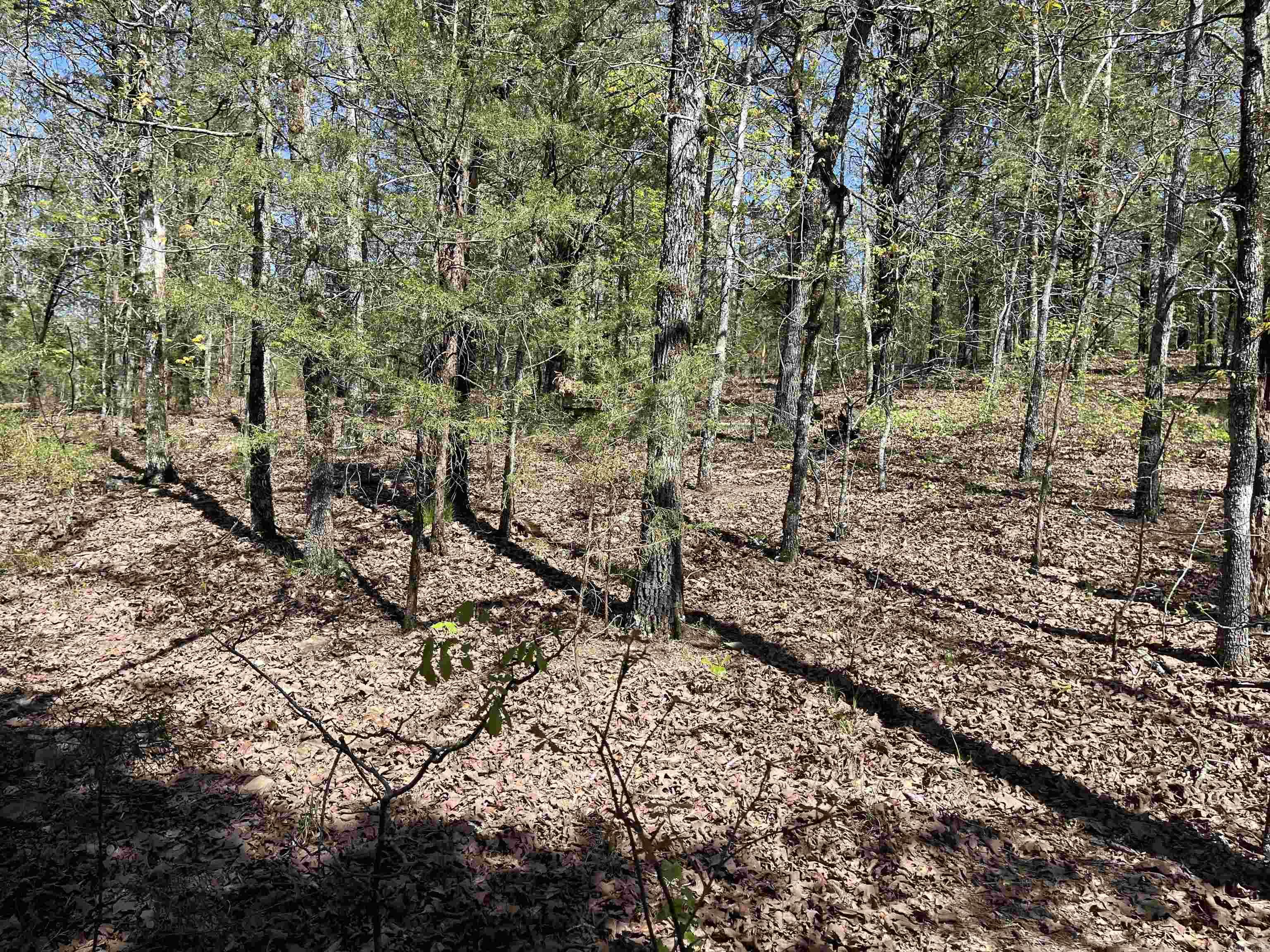 000 Lost Valley Rd  Greenbrier, AR