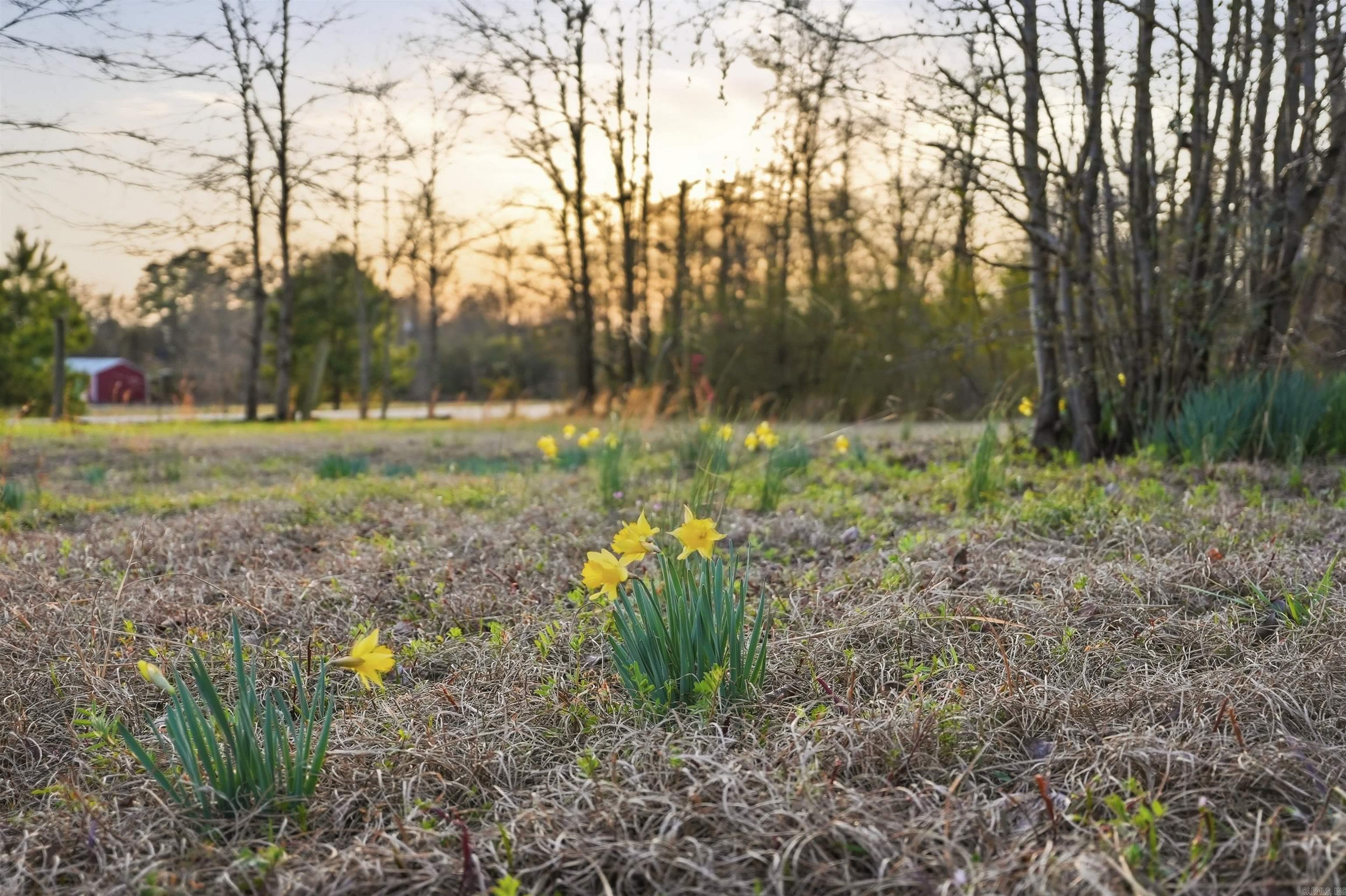 464 Fleetwood  Hot Springs, AR