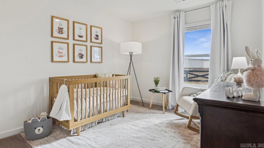 103 Terry Drive Brookland, AR 72417