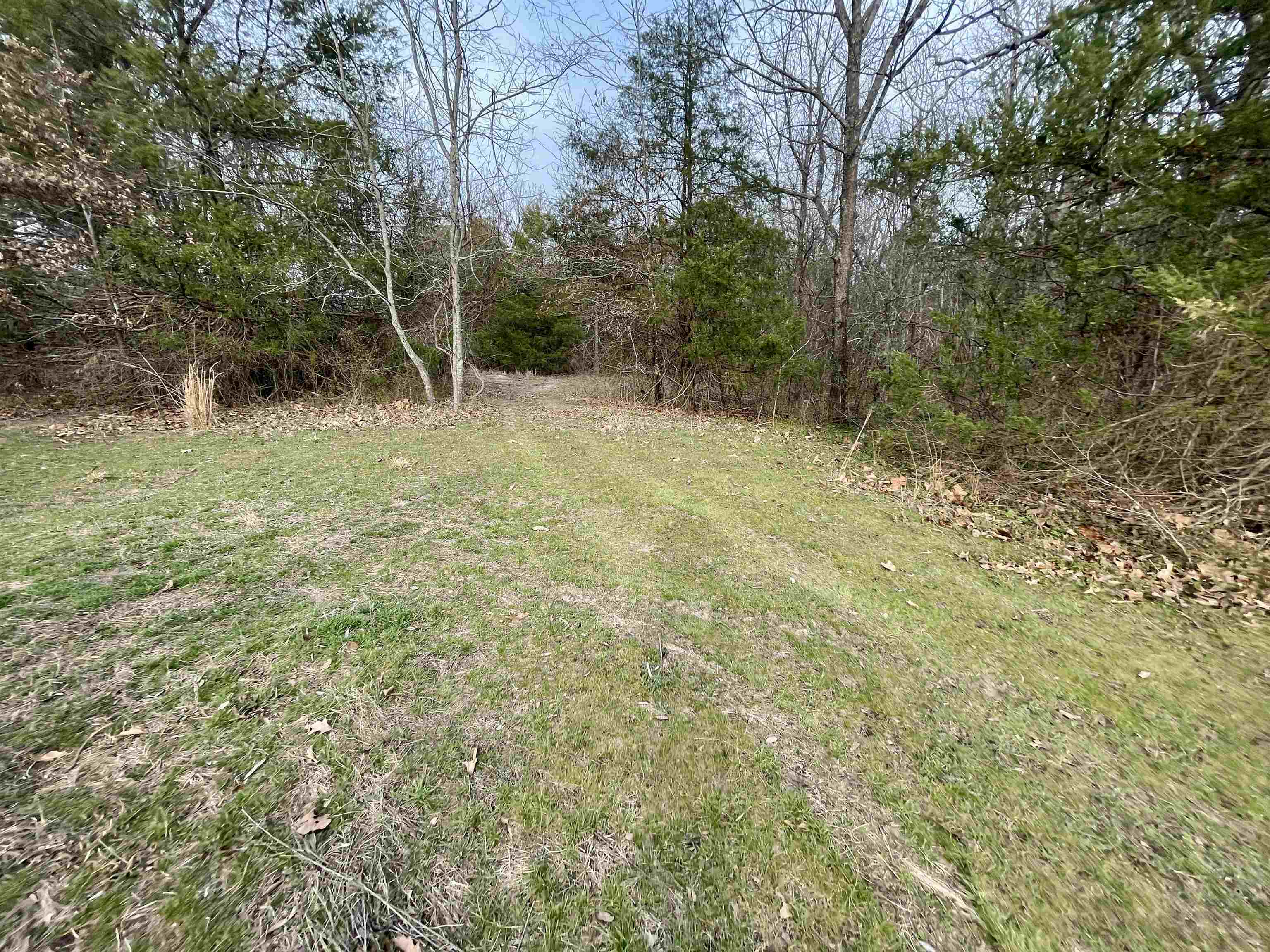 122 Runway Lane Salem, AR 72576