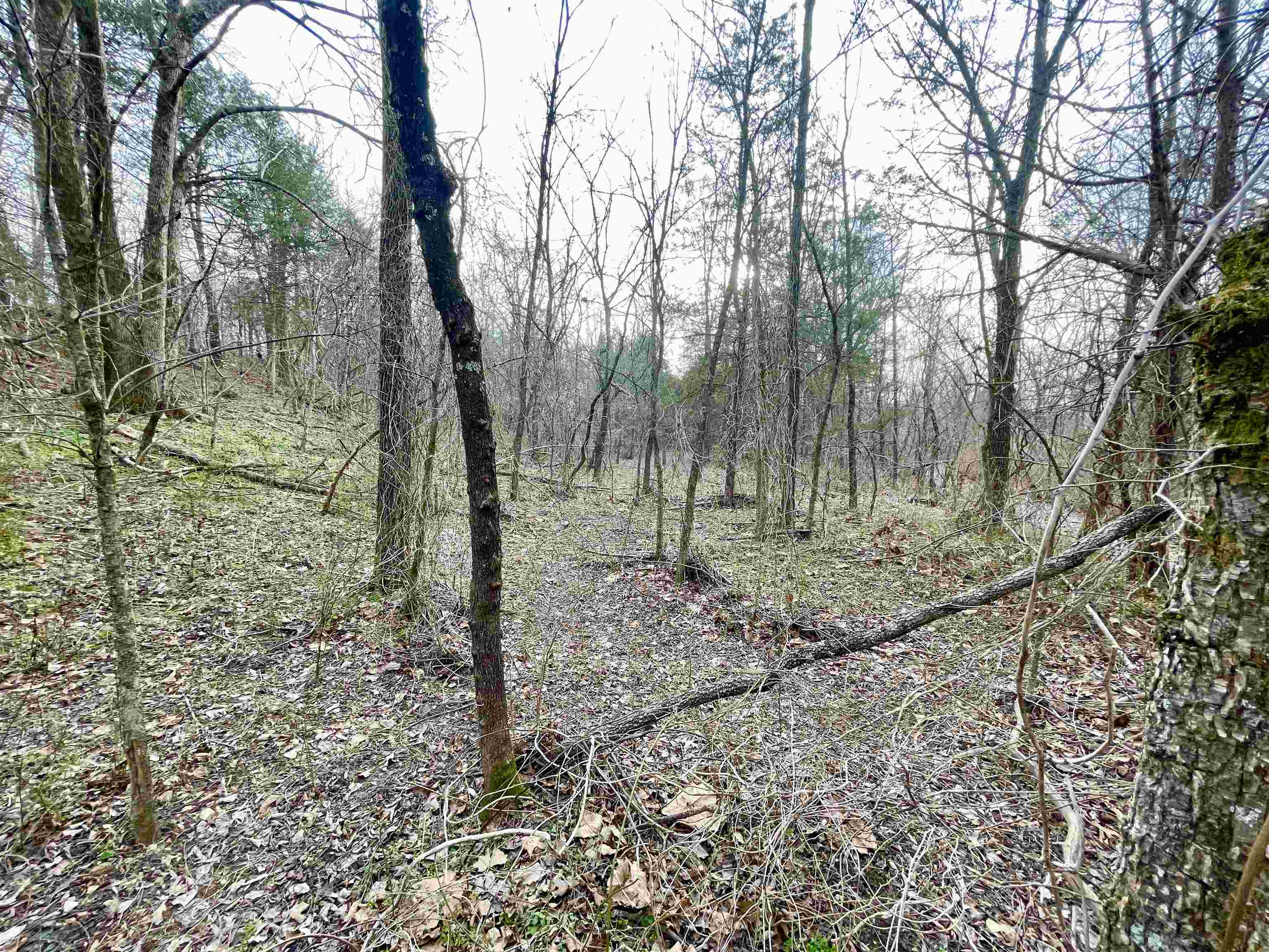 122 Runway  Salem, AR